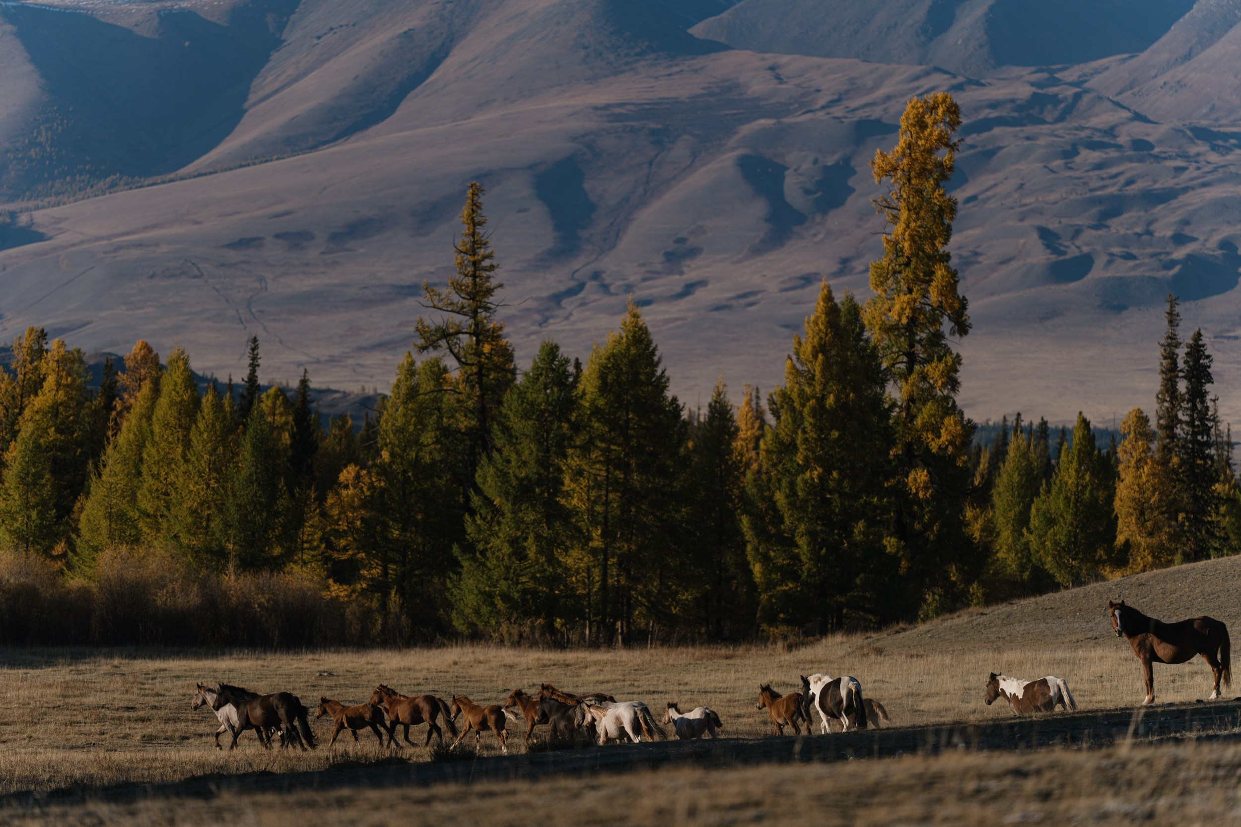 Road trip. Фотограф Томск, Новосибирск Влад Свириденко