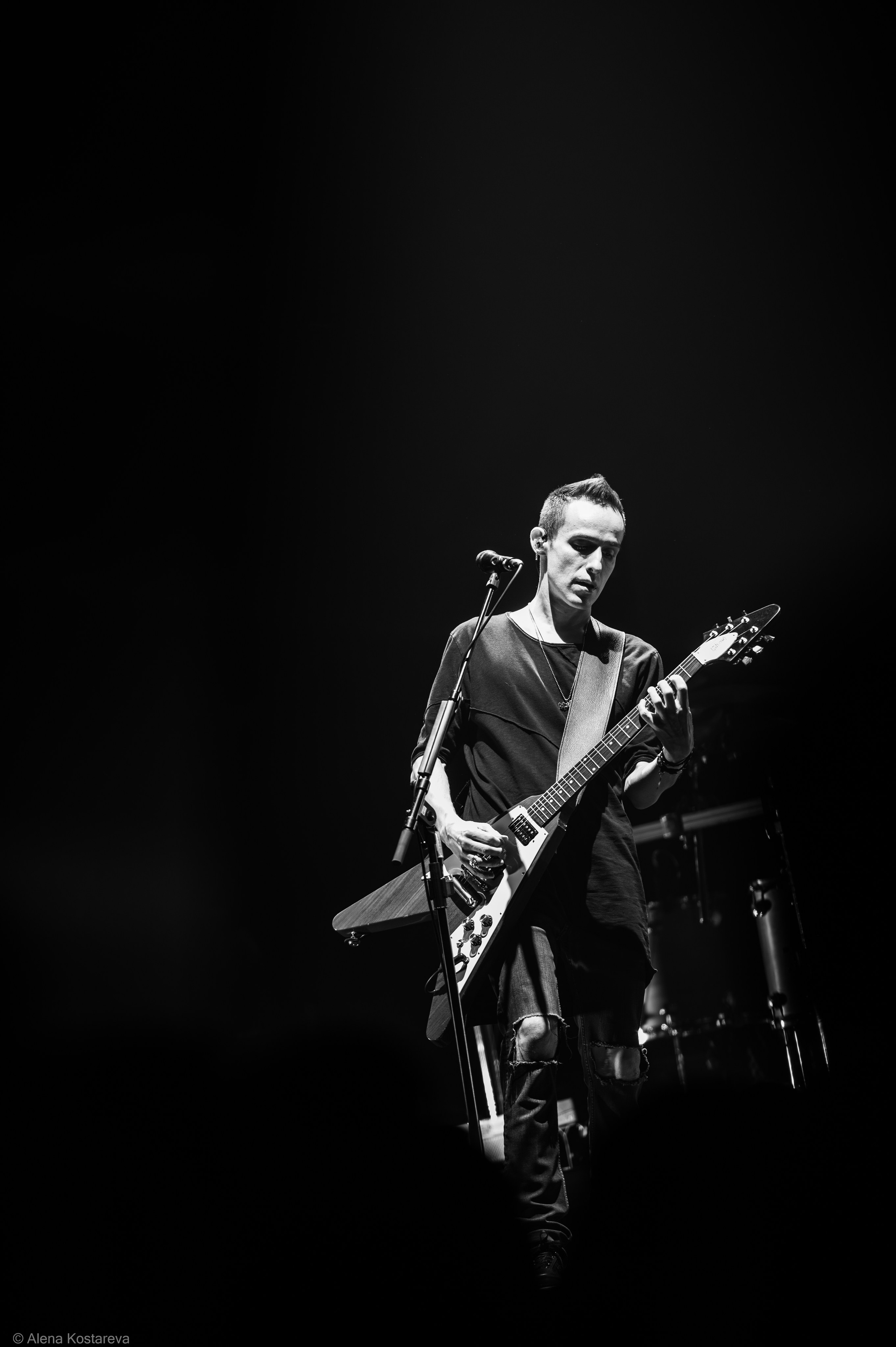 Звери. Алена Костарева. Фотограф в Ростове-на-Дону