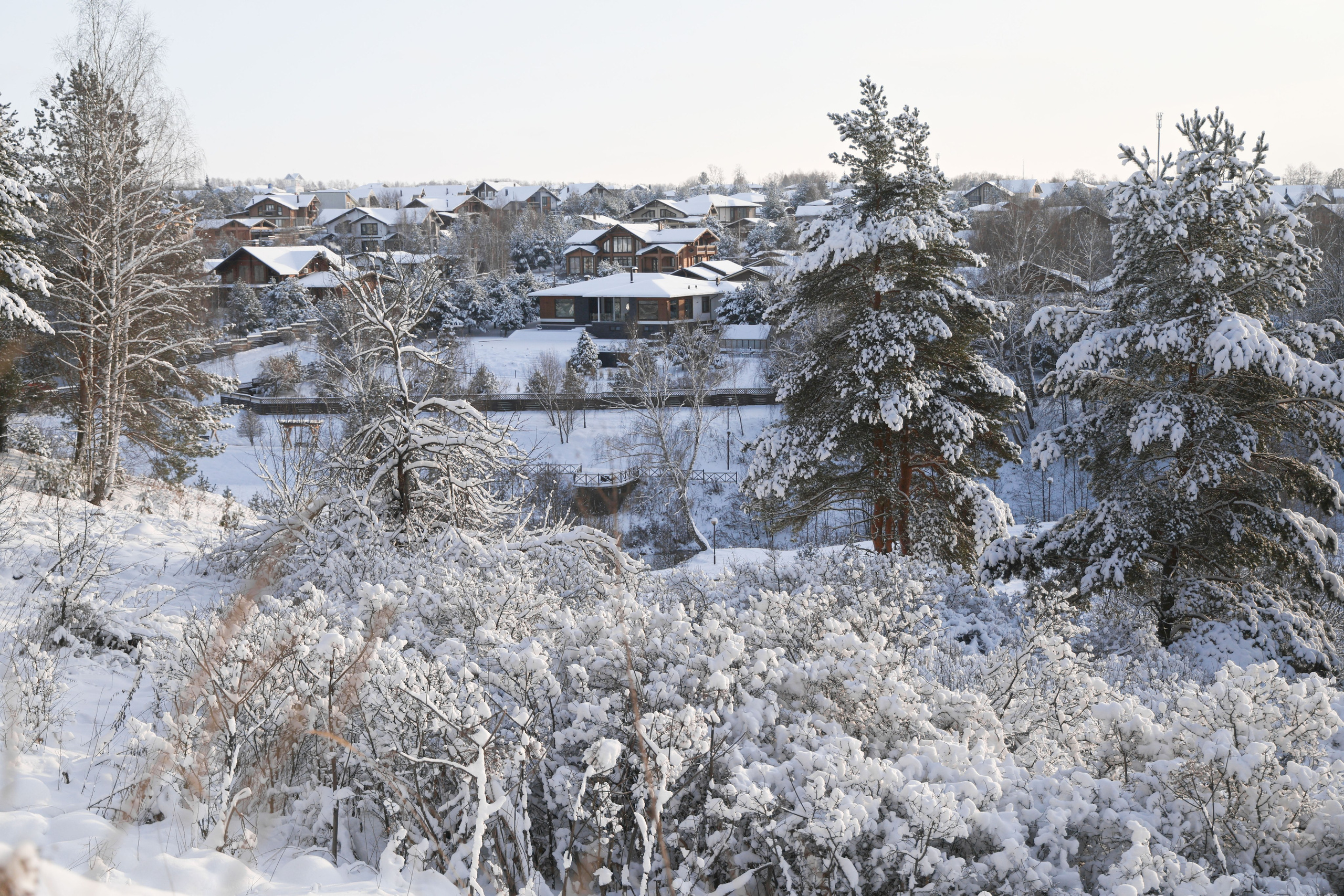 Рождествено Зима 2026. Фотограф Максим Татаринов