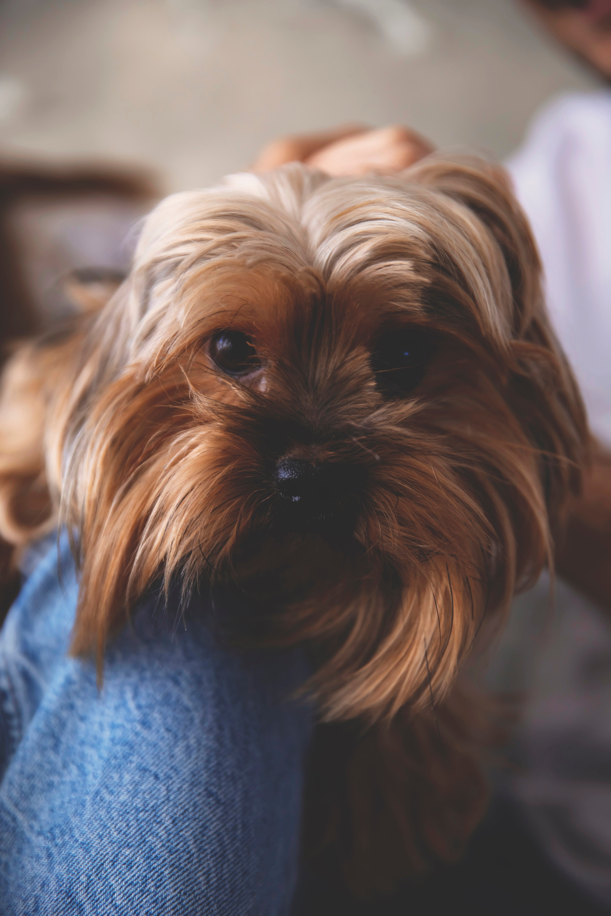 #фотографсочи. Свадебный и семейный фотограф Колоскова Мария (Сочи и весь мир)