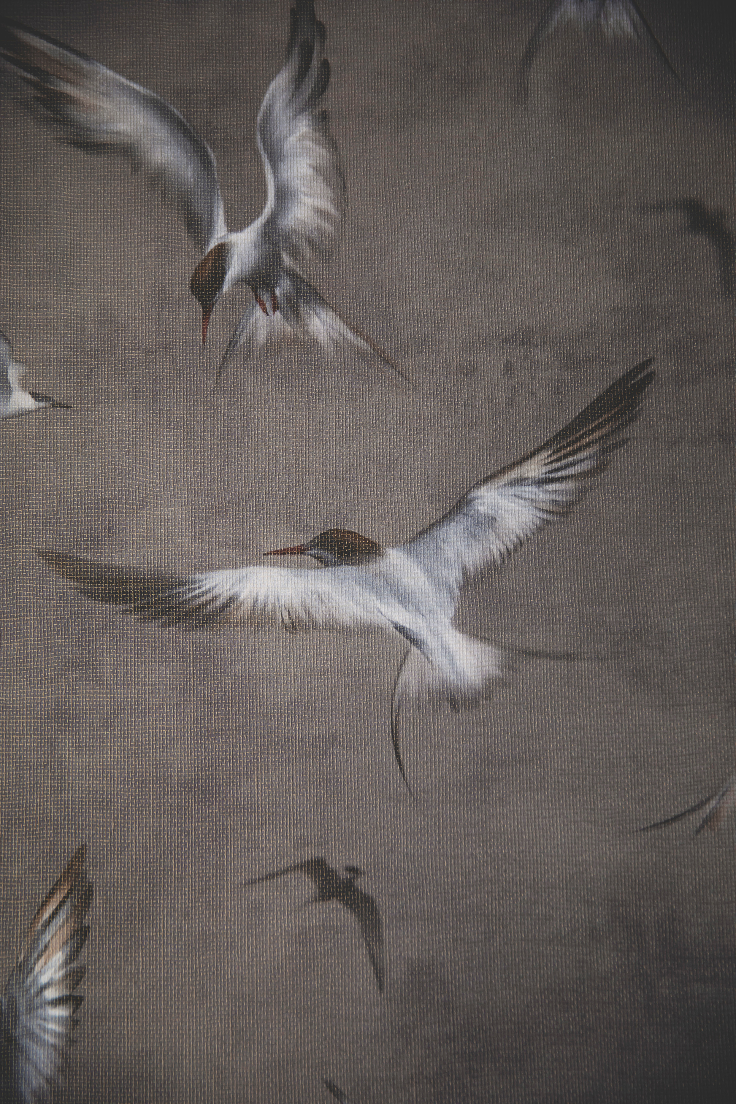 #фотографсочи. Свадебный и семейный фотограф Колоскова Мария (Сочи и весь мир)