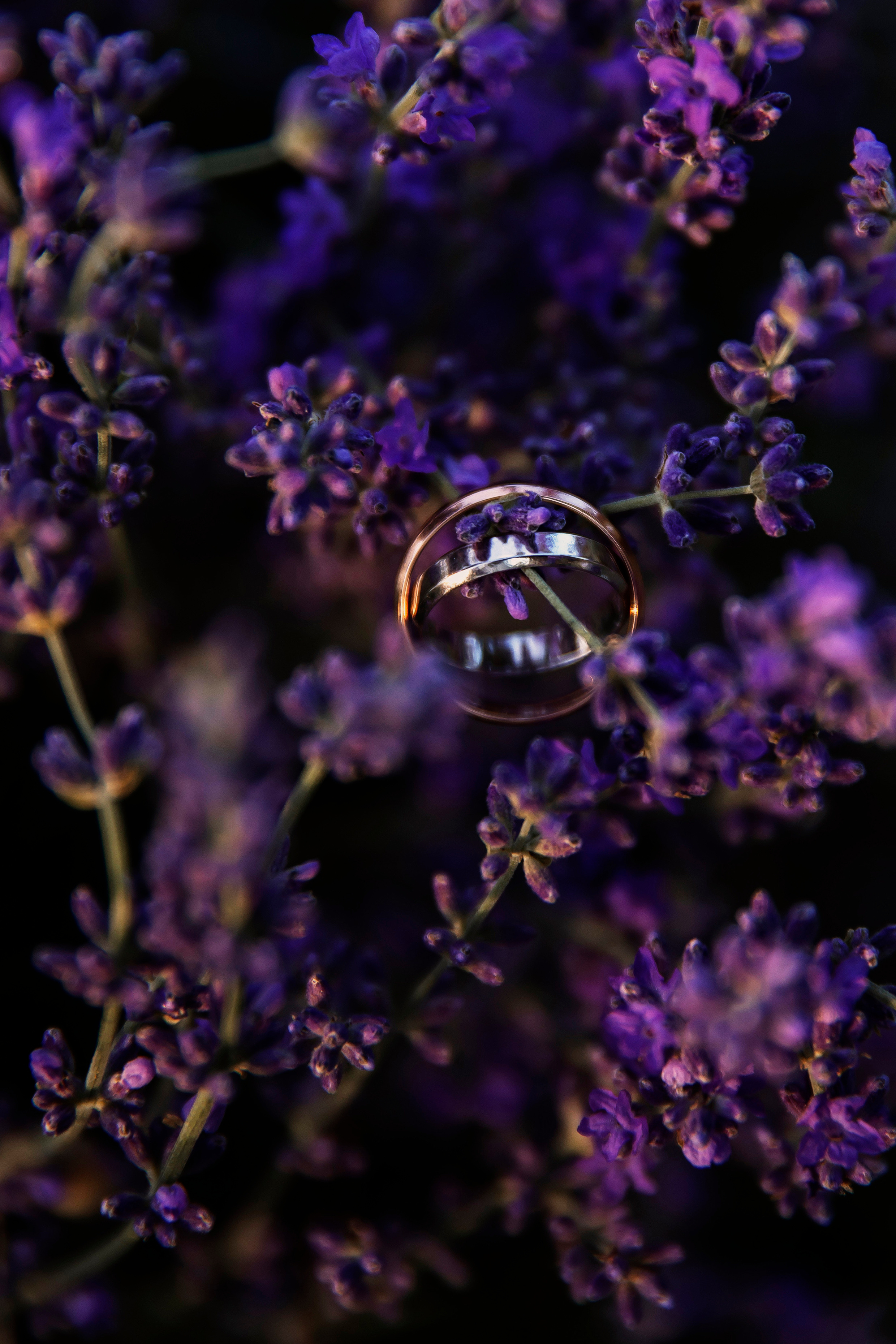 #фотографсочи. Свадебный и семейный фотограф Колоскова Мария (Сочи и весь мир)