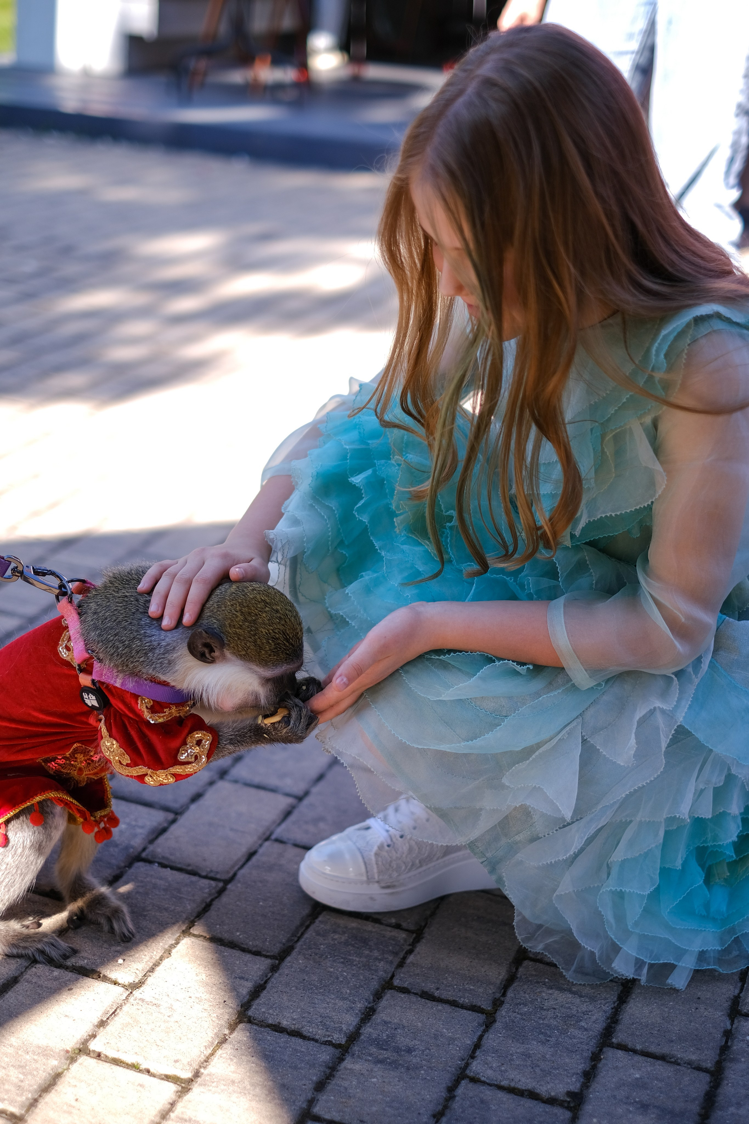 День рождения Анфисы. Семейный детский ньюборн фотограф в Москве Марта Петрова
