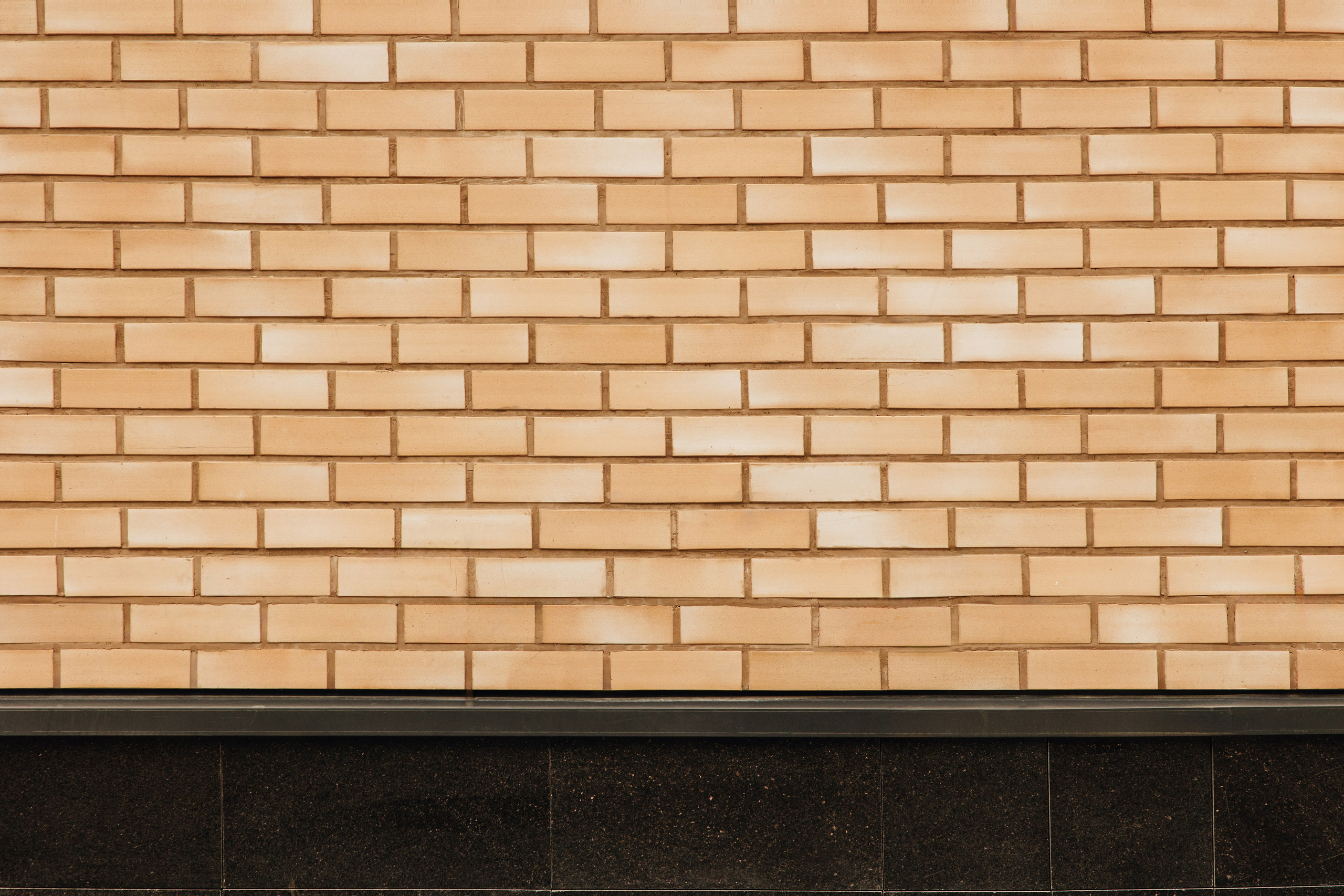 СТАДИОН МЯГКОВА. АЛТ Портфолио