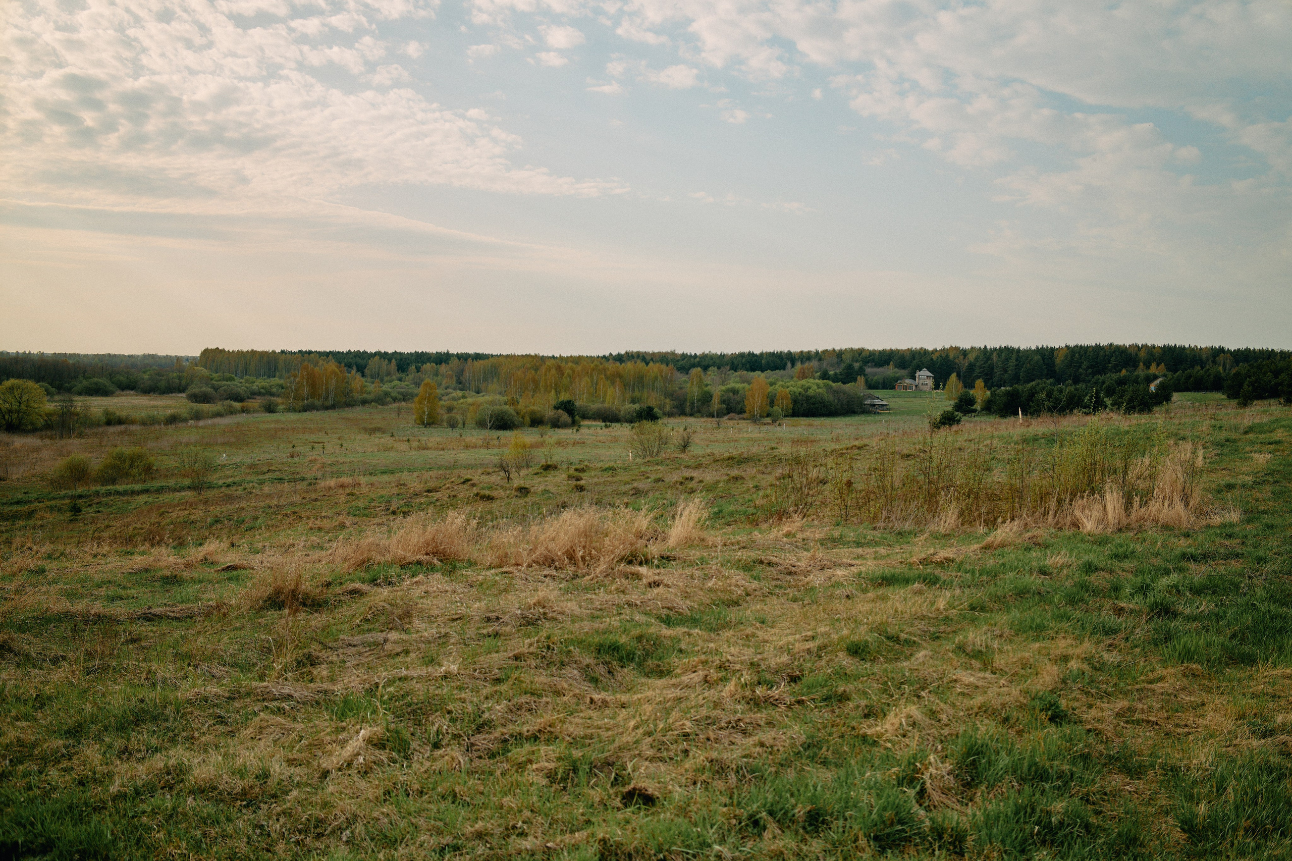 Бутик-отель Поле летом. Профессиональный Фотограф во Владимире, в Москве и в Суздале — Полина Романычева