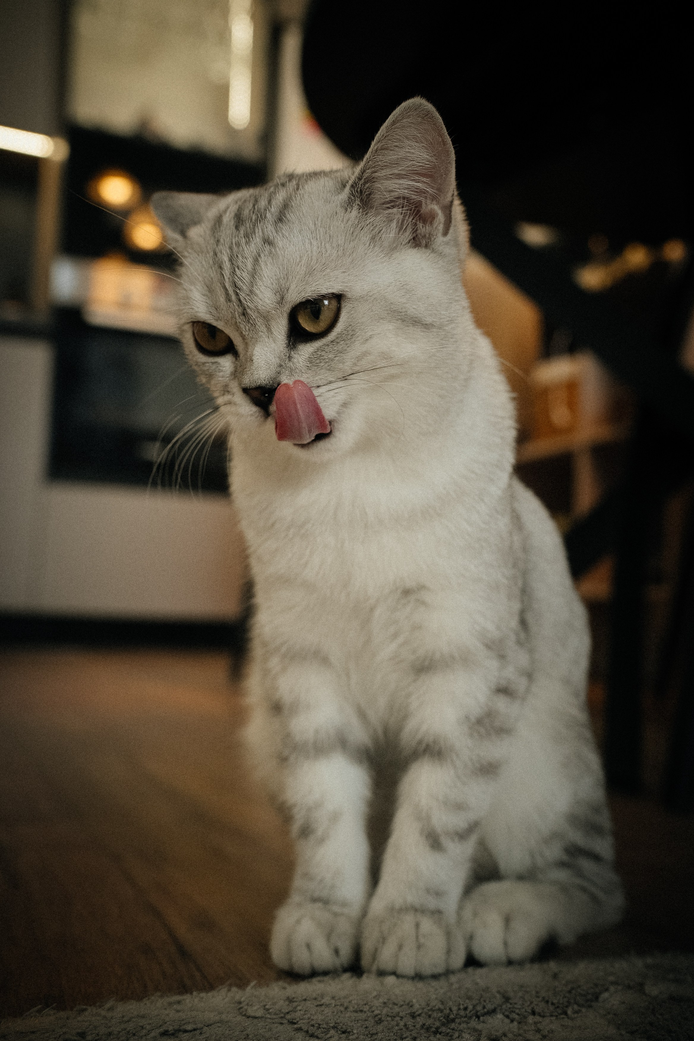 Семья Ксении и Максима. Фотограф | Юлия Арт| Обучение