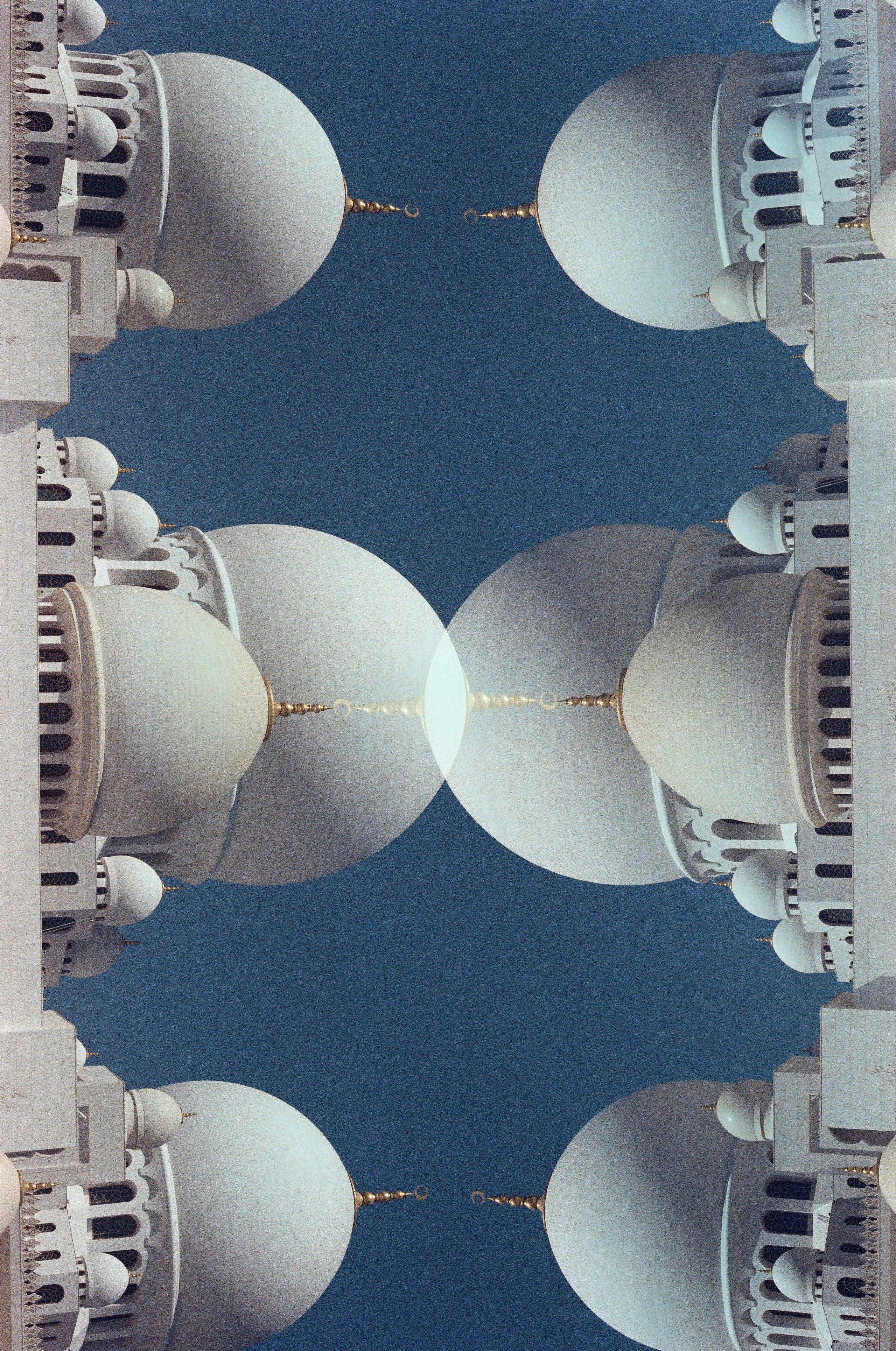 Art. TATIANA DARINA — film photographer in St. Petersburg