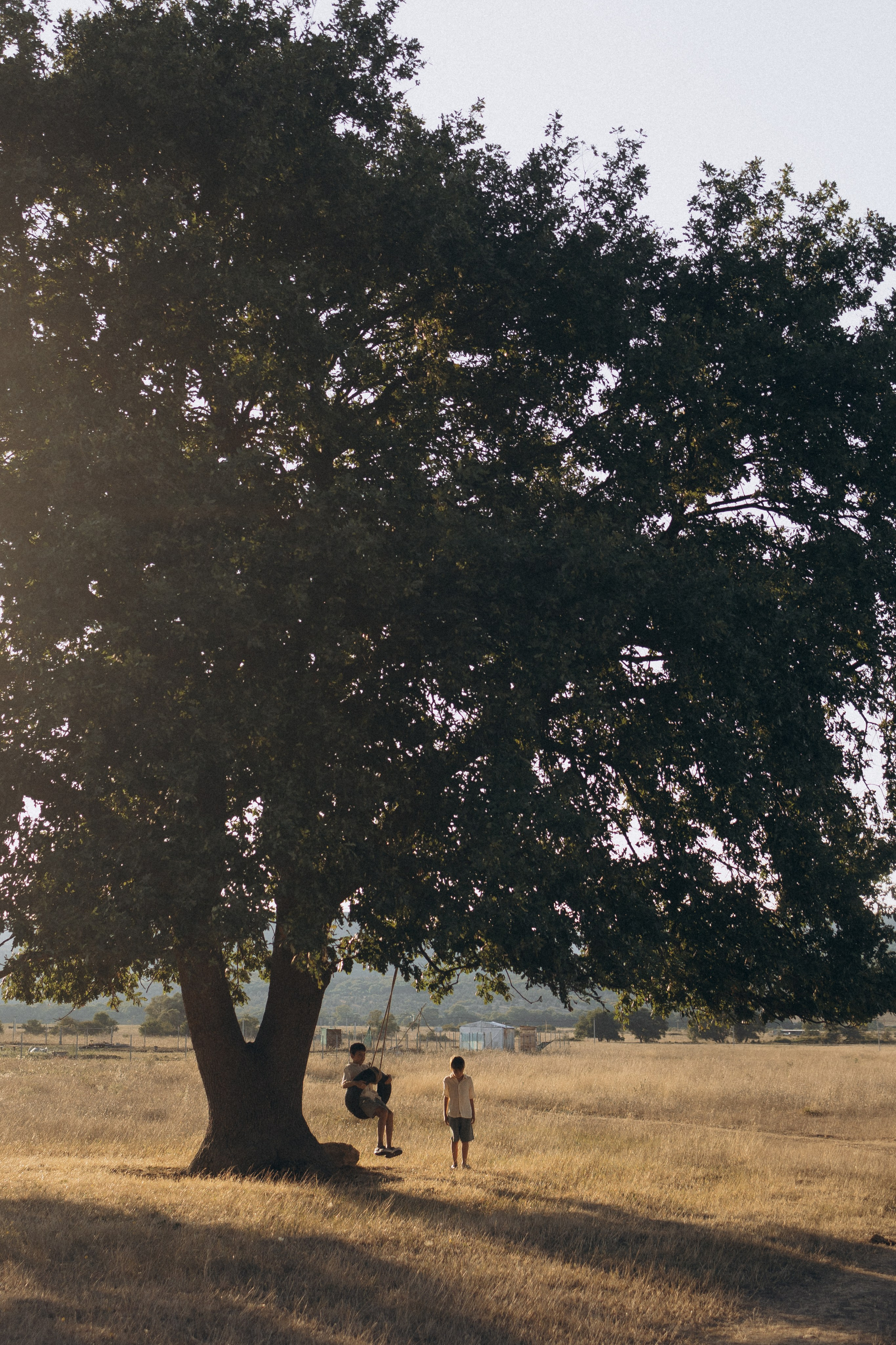 Колесо. Фотосессии в Крыму. Добро пожаловать в мой Мир