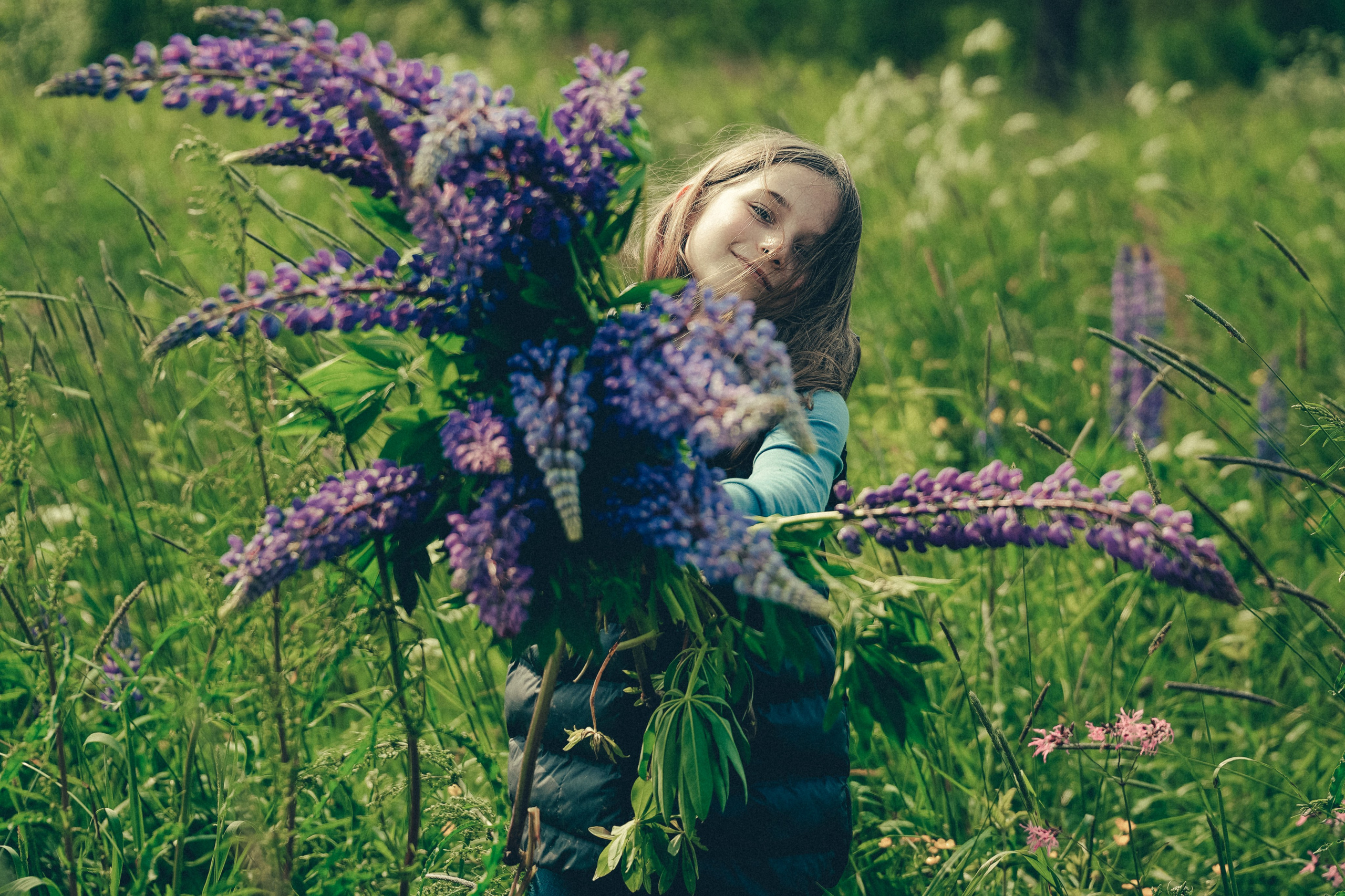 Люпиновое поле. Портретный фотограф в Санкт-Петербурге Дария Сыч