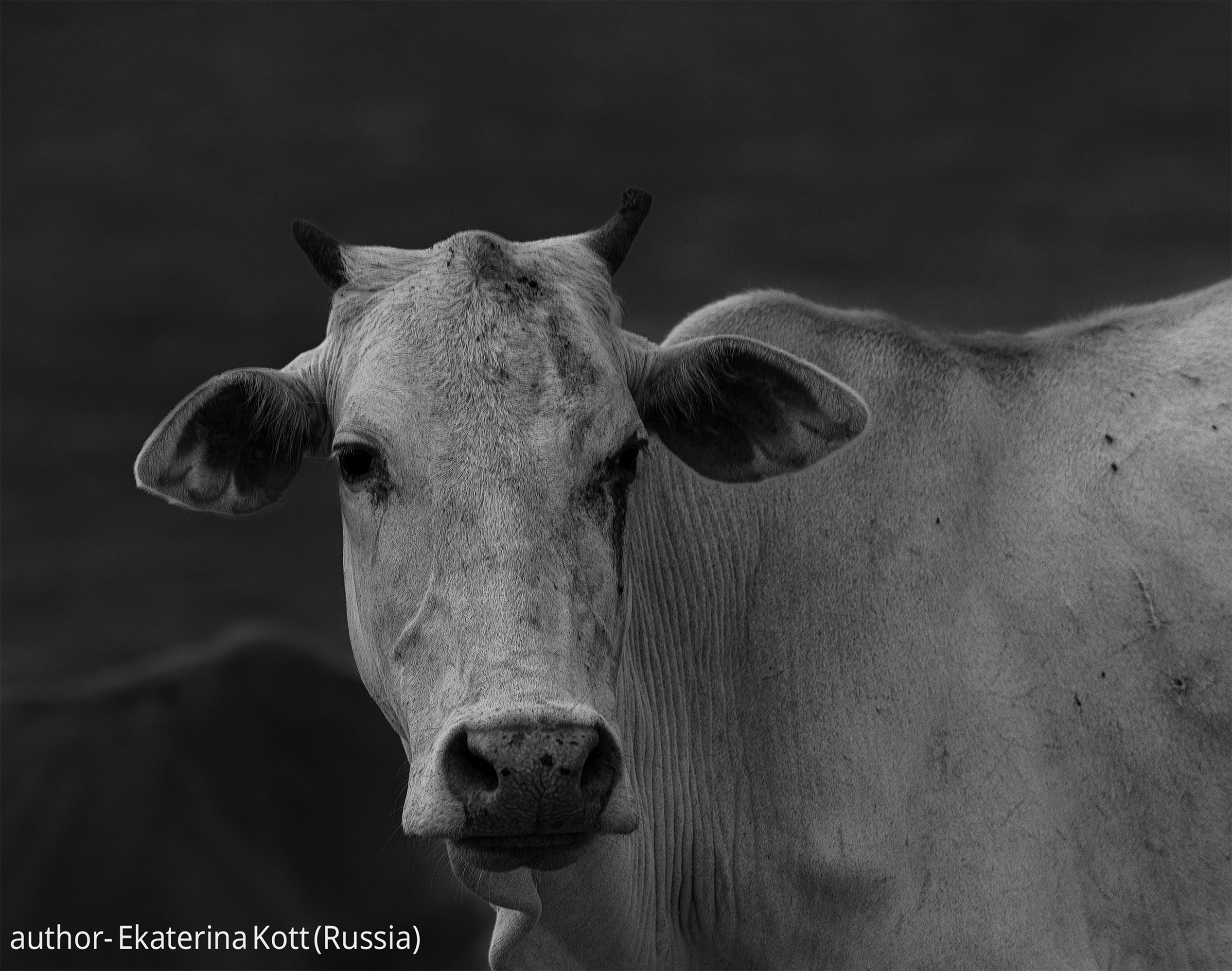 Gallery. UNUSUAL TALENT magazine