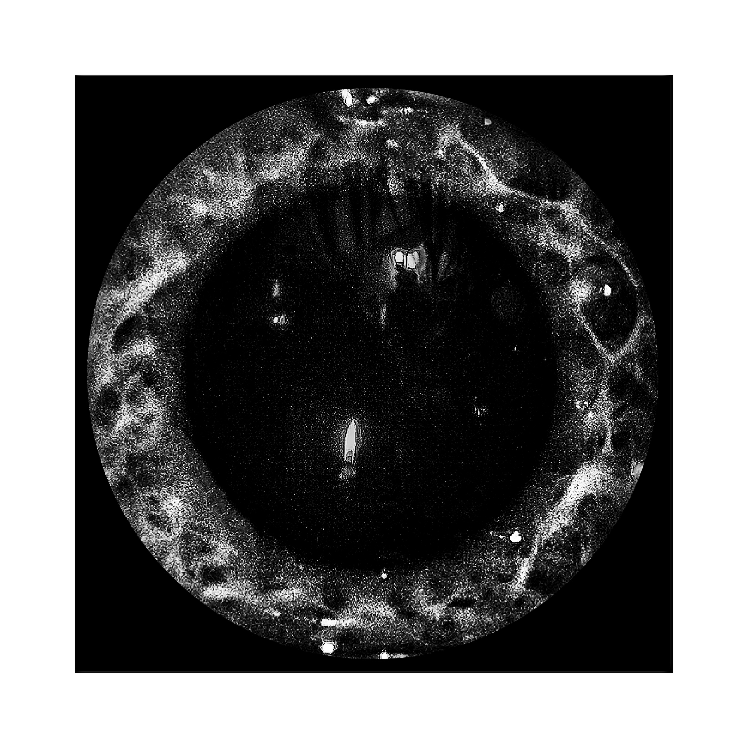 Фотопроект «Круги жизни». Портретный фотограф в Челябинске Катерина Руди