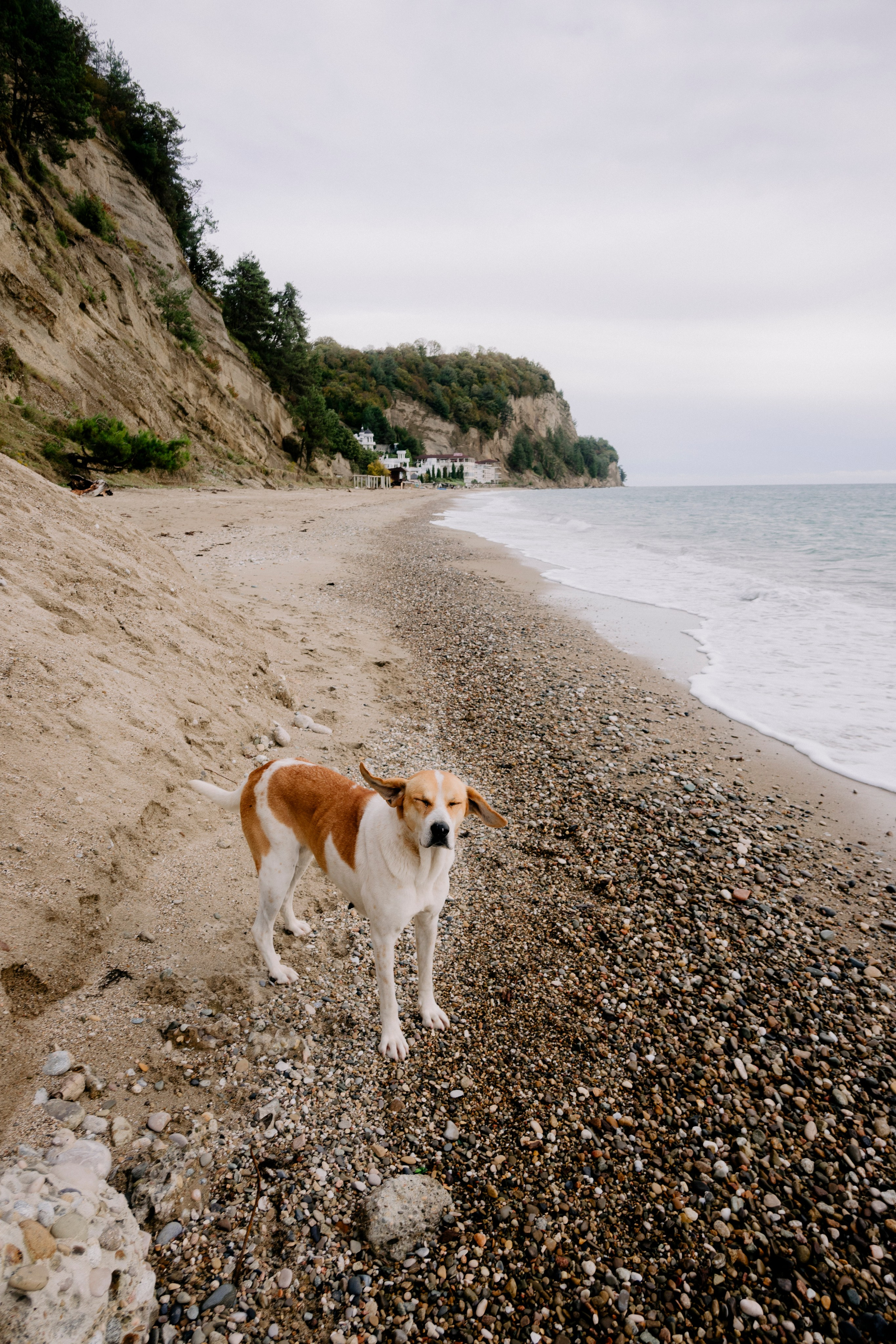 Абхазия. Iraogo