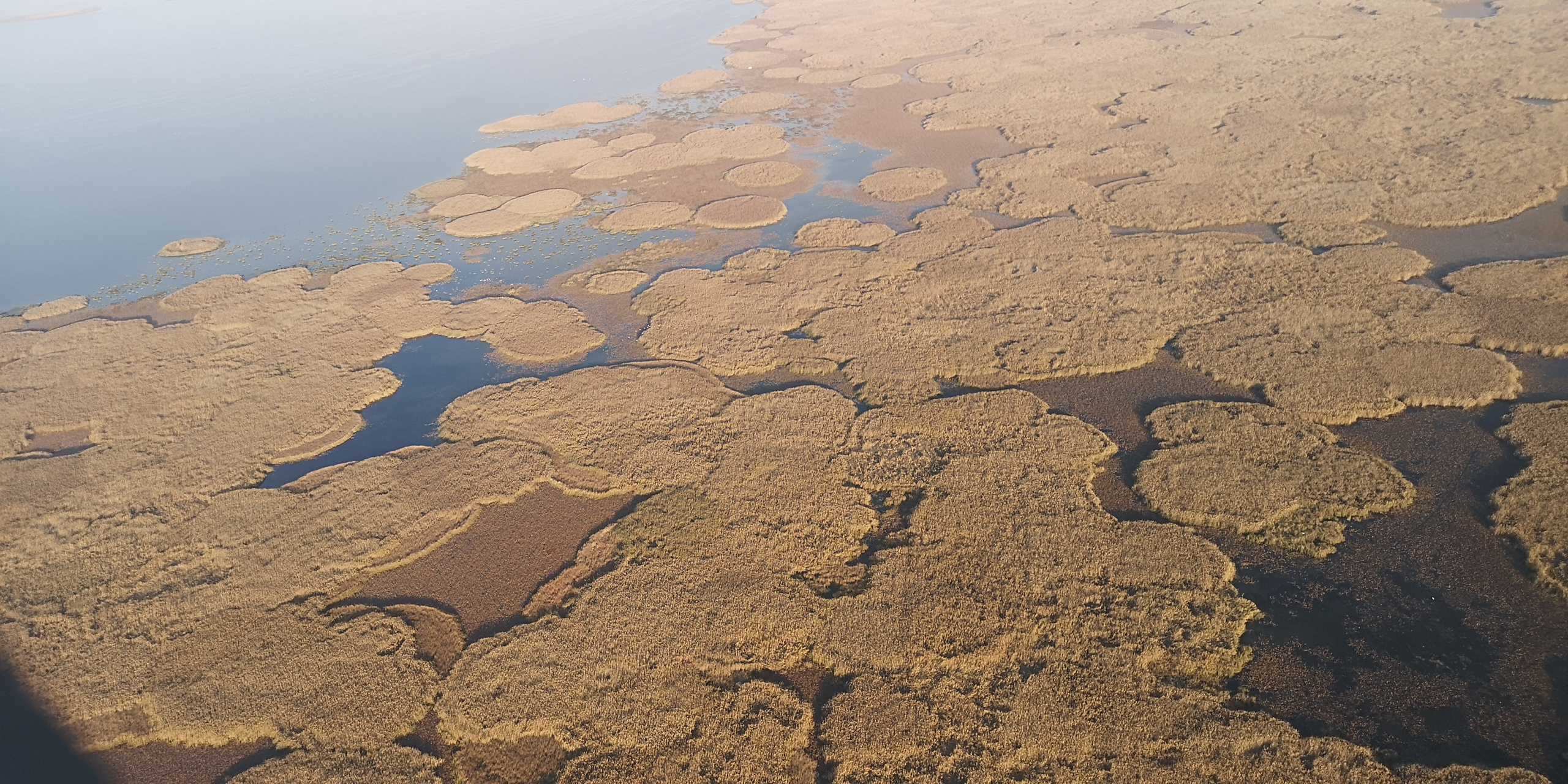 Каспийское море (наука на Ла-8) (2021 г.). Фотоальбом показывающий увлекательный мир авиации и мир медведей Андрея Иванова