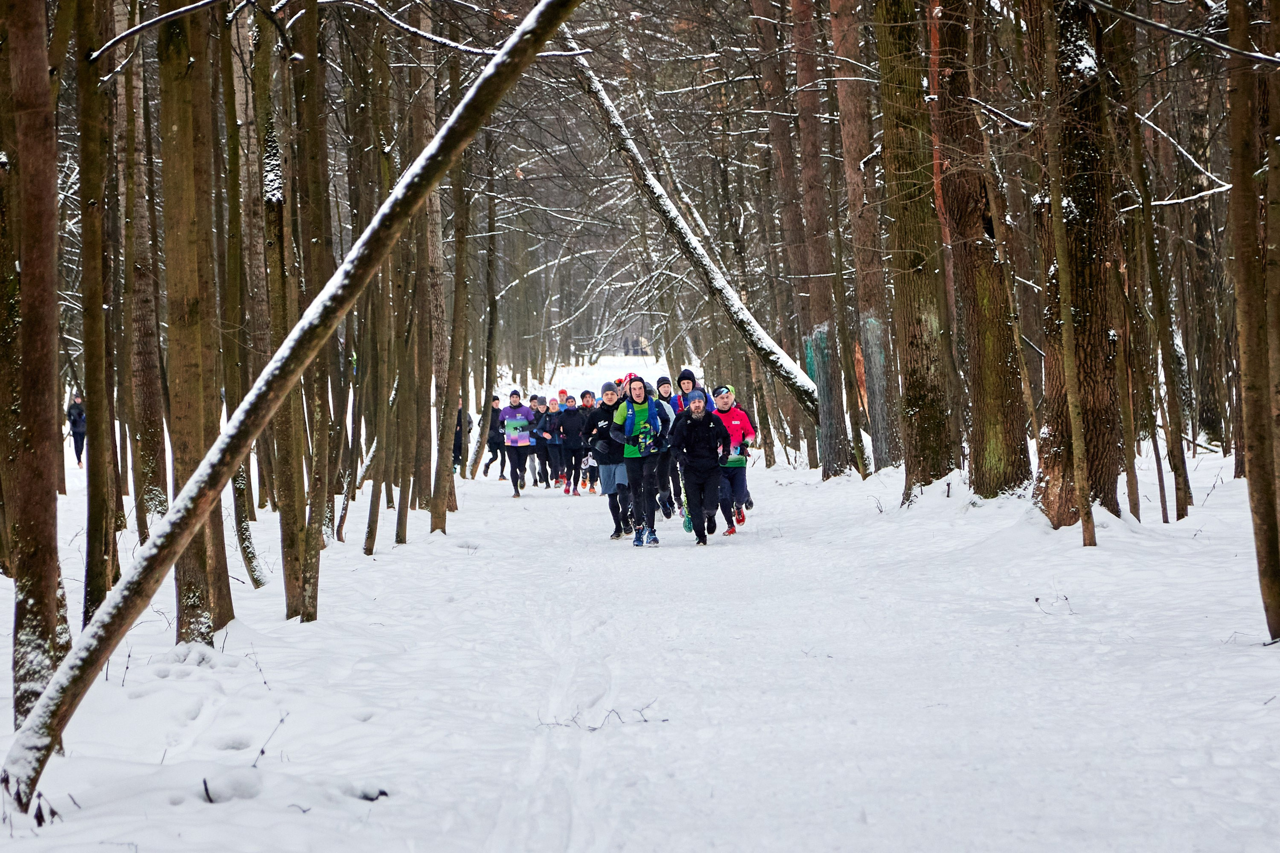 Близко Зима. Спортивный и репортажный фотограф Андрей Баскаков