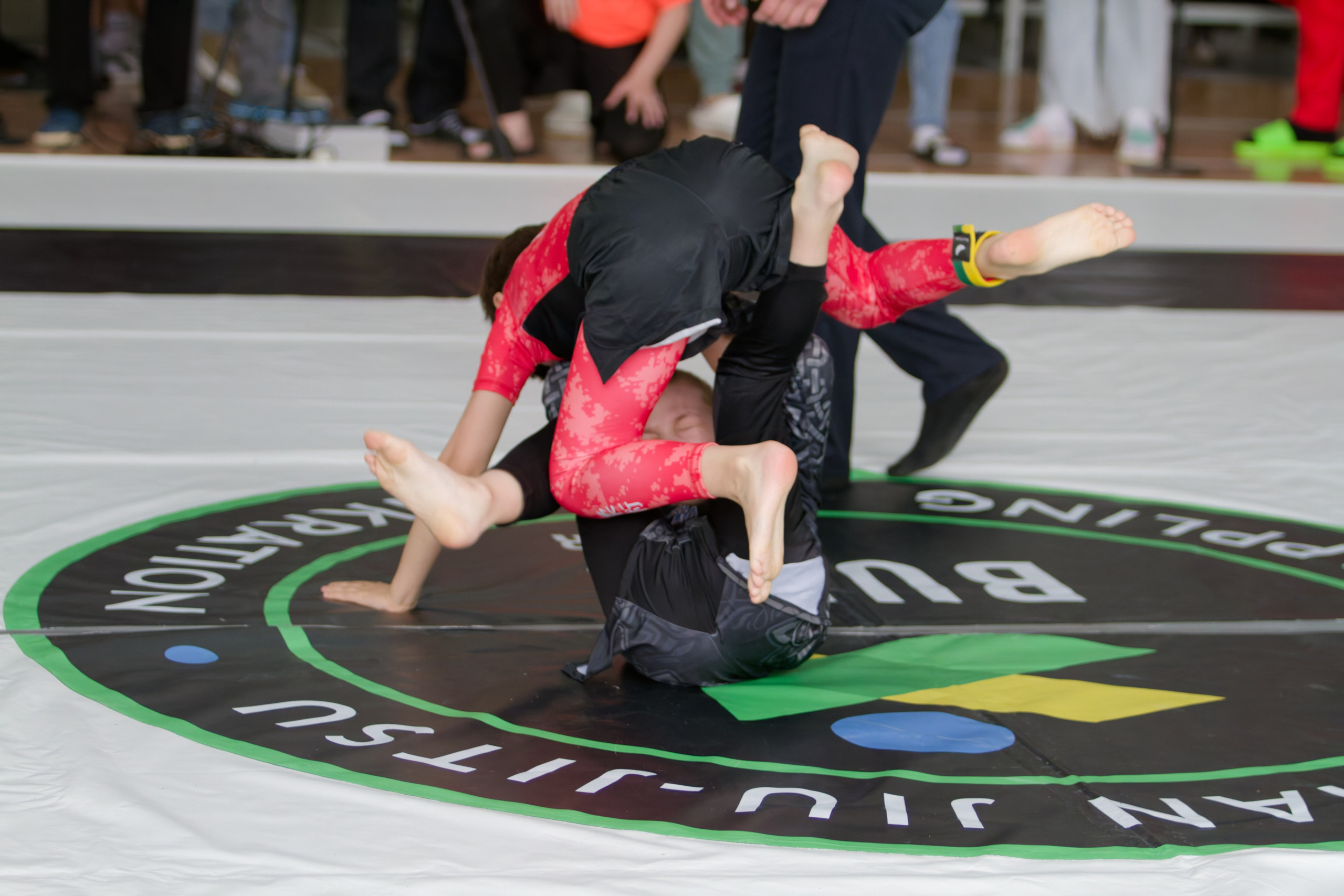 Борьба. Джиу-джитсу 26.04.2025. Репортажный и спортивный фотограф в г. Пермь Зильберг Павел