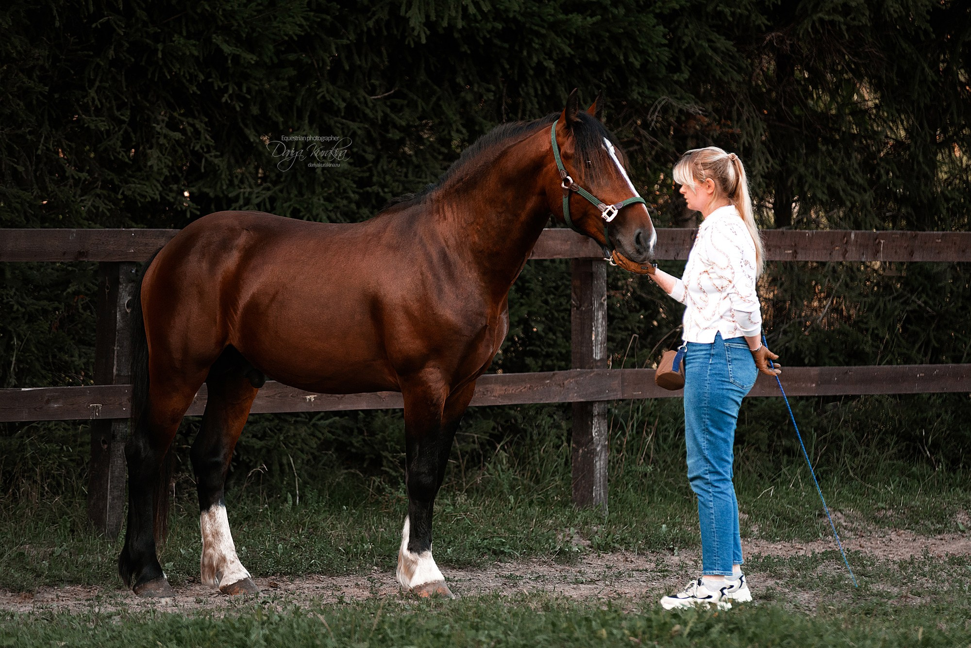 Волконский. Конный фотограф Куракина Дарья • Фотосессии с лошадьми