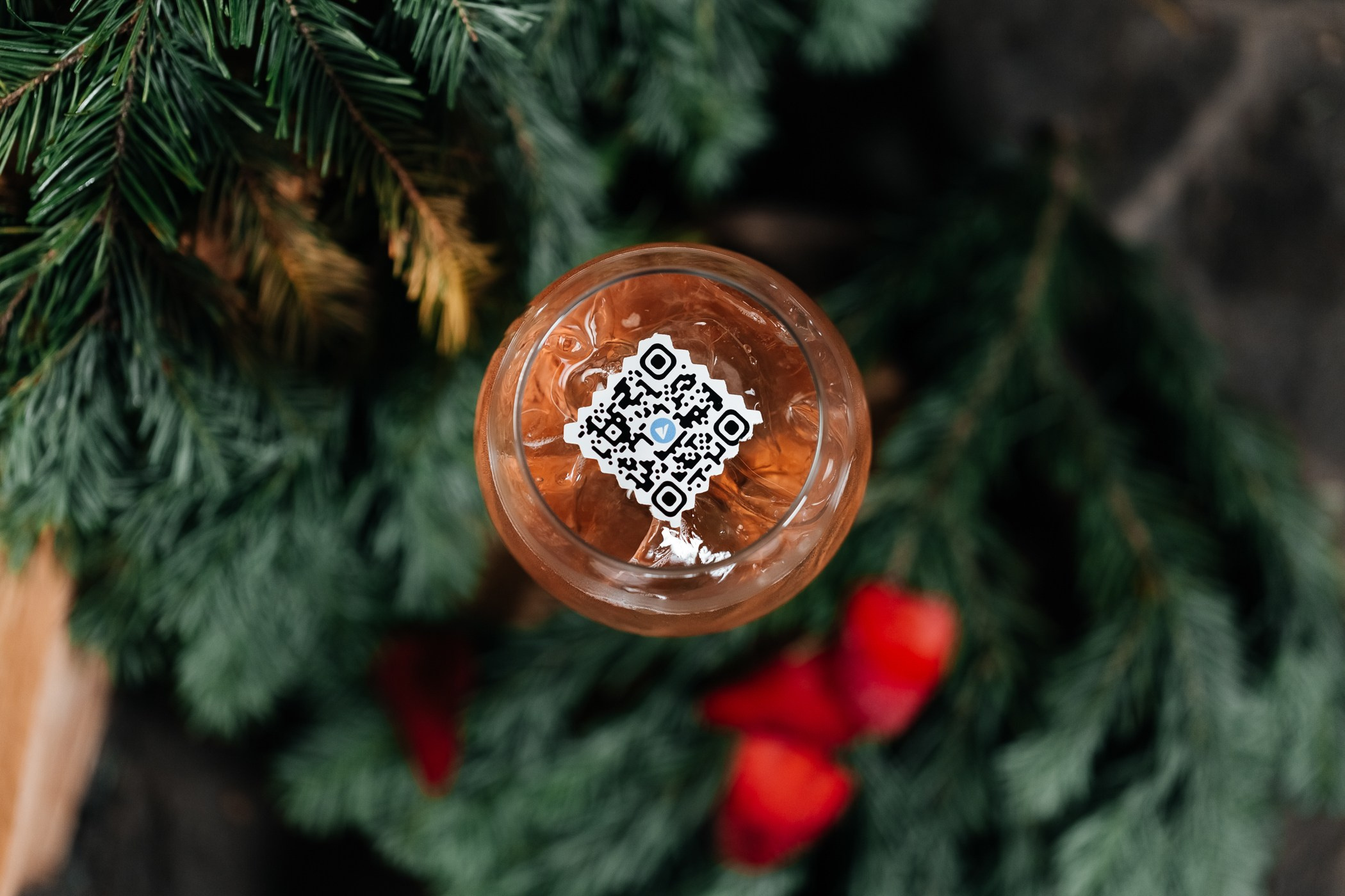 Alpen — Club. Фотограф Кемерово | Сергей