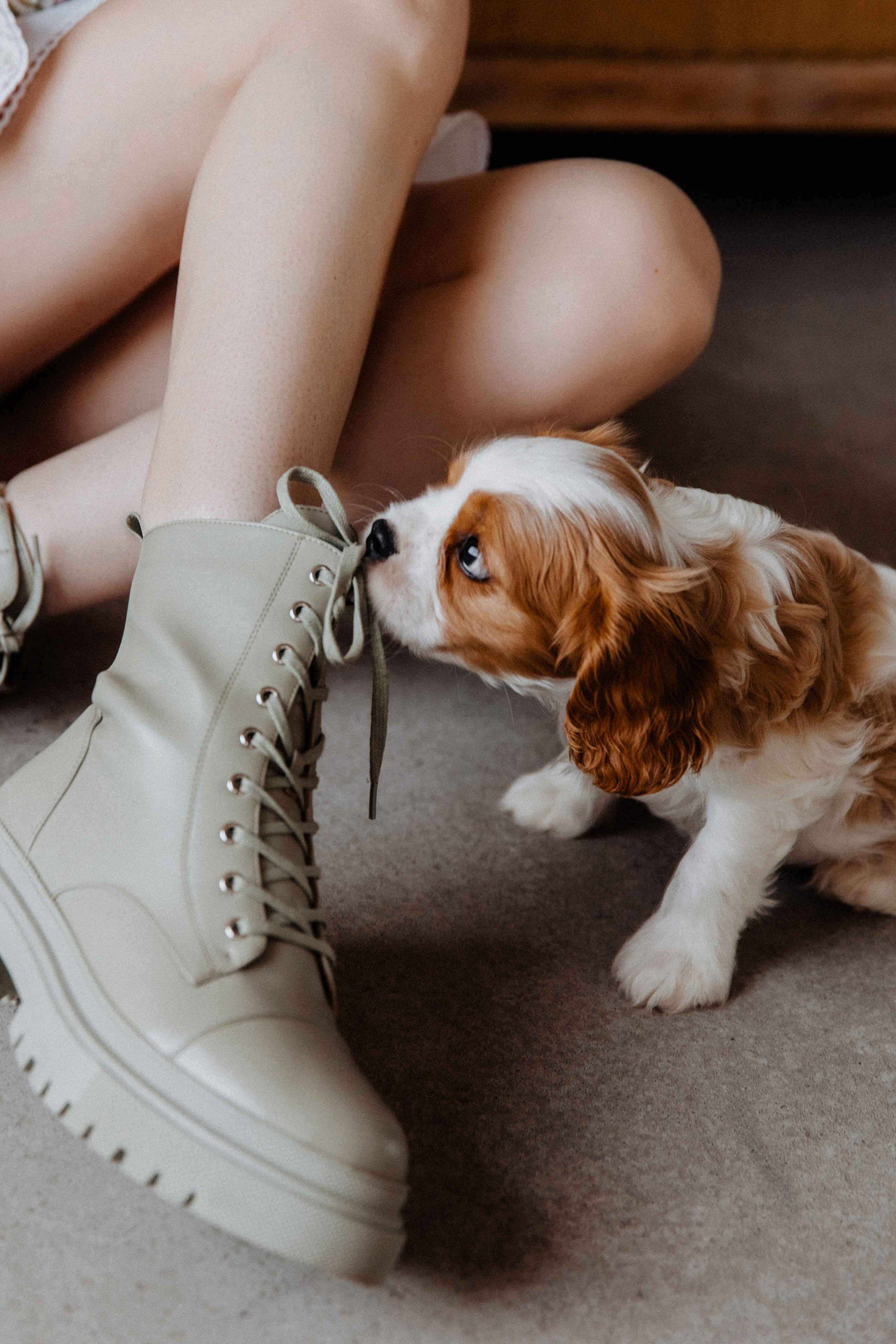 Dog love. Свадебный фотограф Анастасия Пальчикова