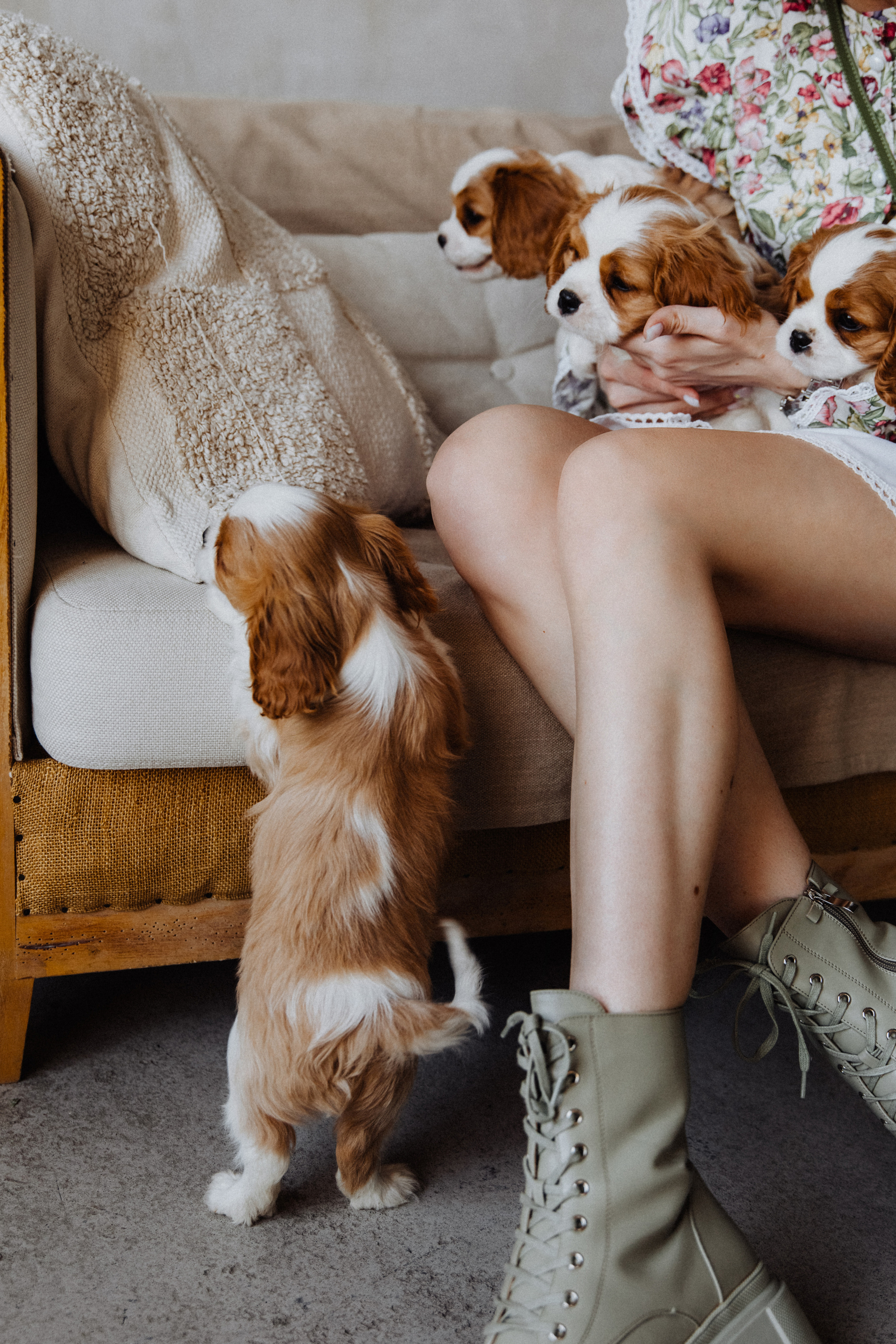 Dog love. Свадебный фотограф Анастасия Пальчикова