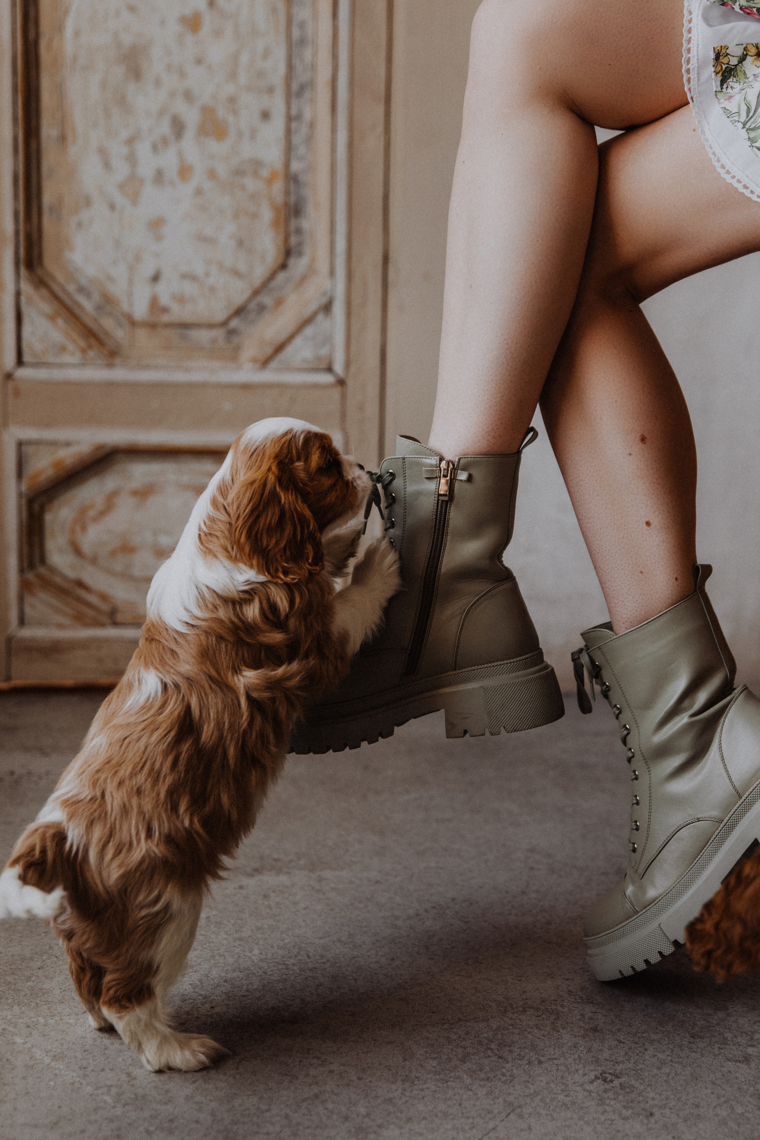 Dog love. Свадебный фотограф Анастасия Пальчикова