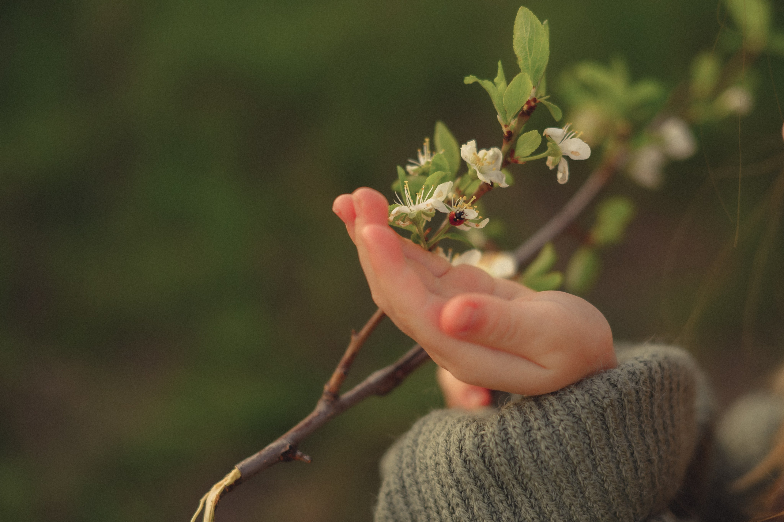 Весенняя прогулка на закате!. Семейный фотограф в г. Ставрополь, Сорокина Мария
