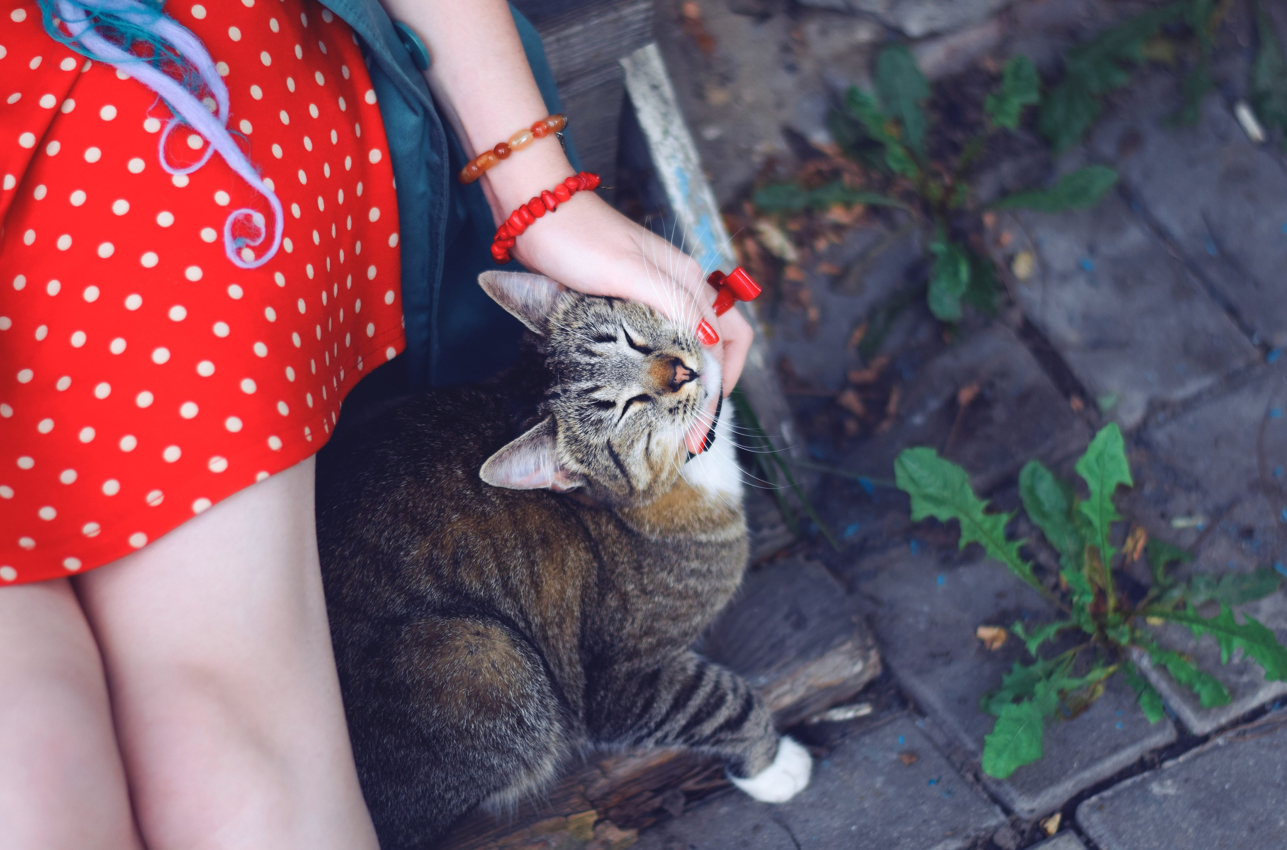 L. Портретный фотограф в Курске Алена Марре