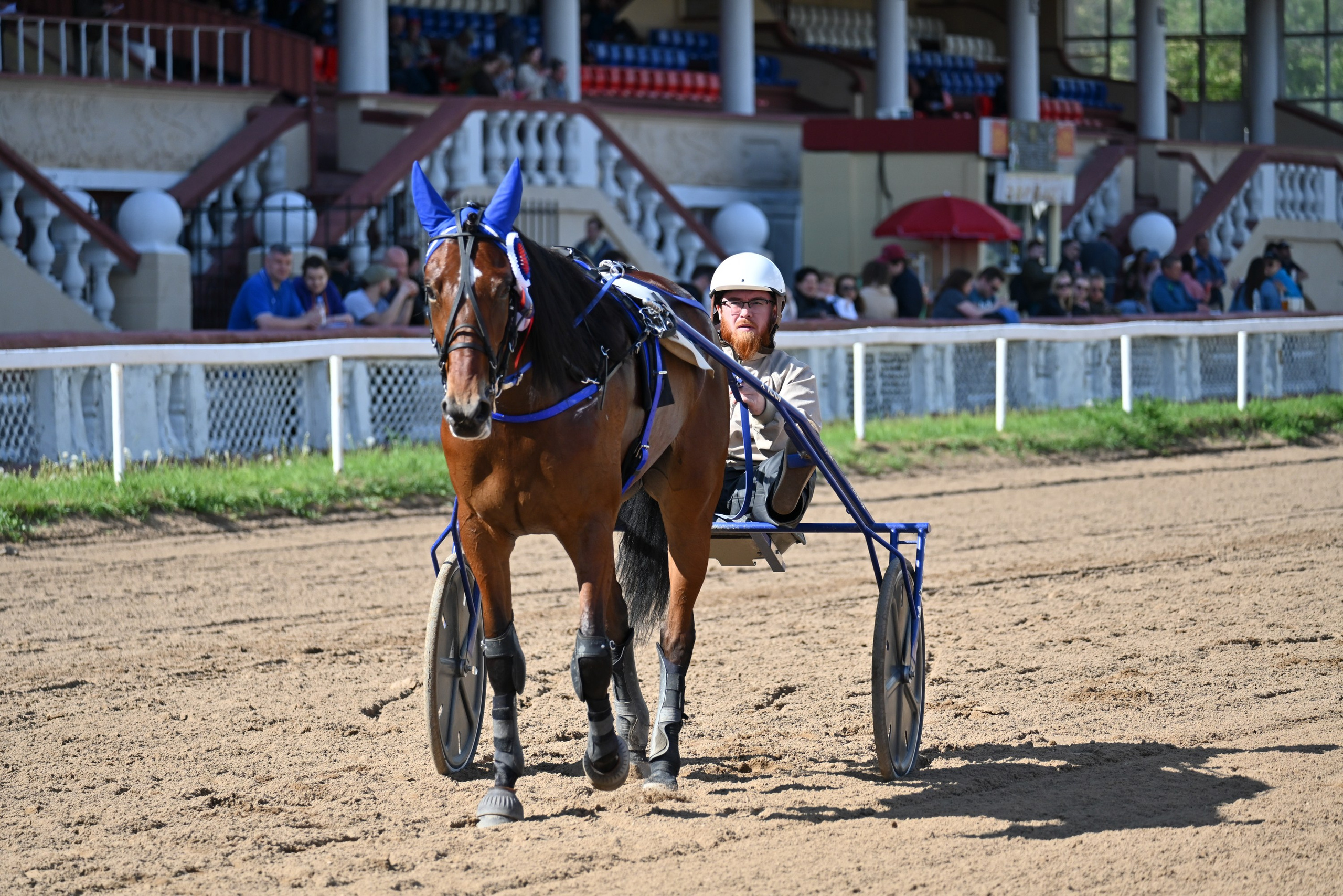 Ипподром (Москва). Fotolux