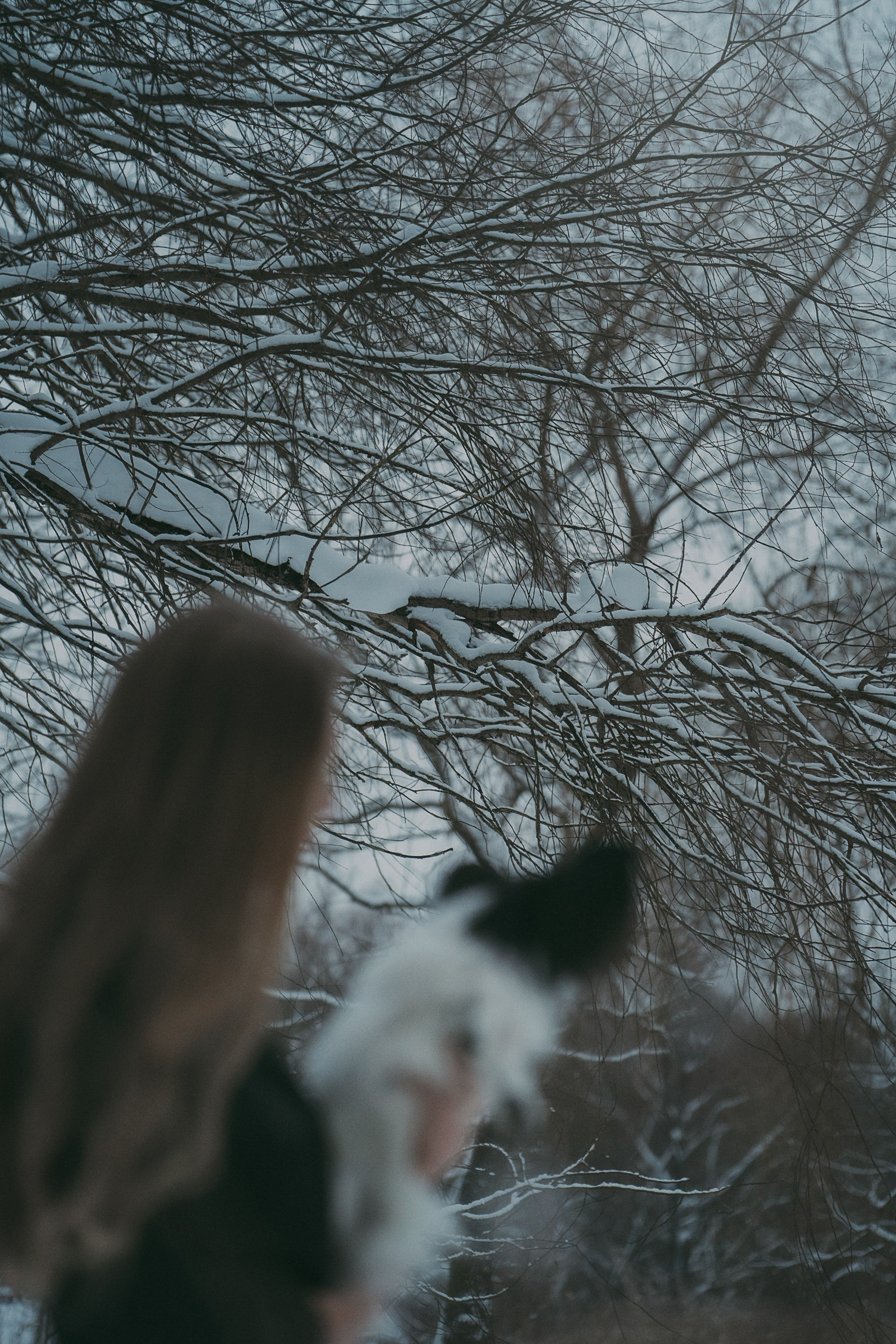 Альбина и Амелия. Фотограф анималист в Москве и Санкт-Петербурге Свиридова Анна