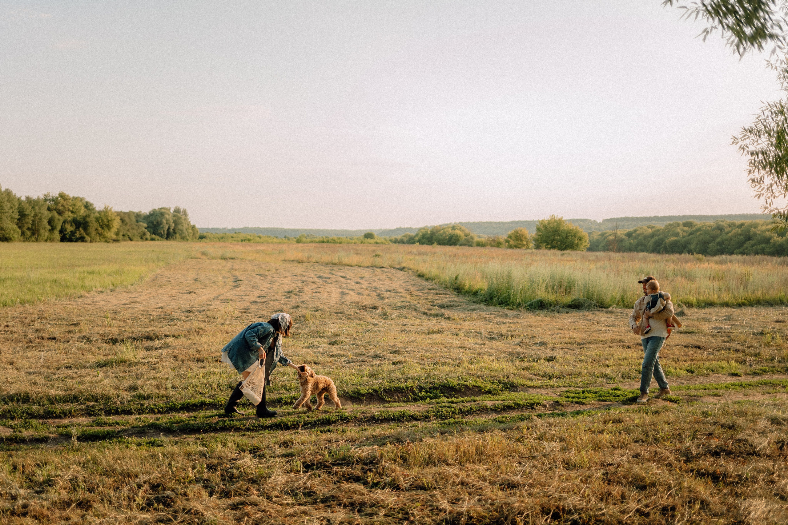 Теплым вечером