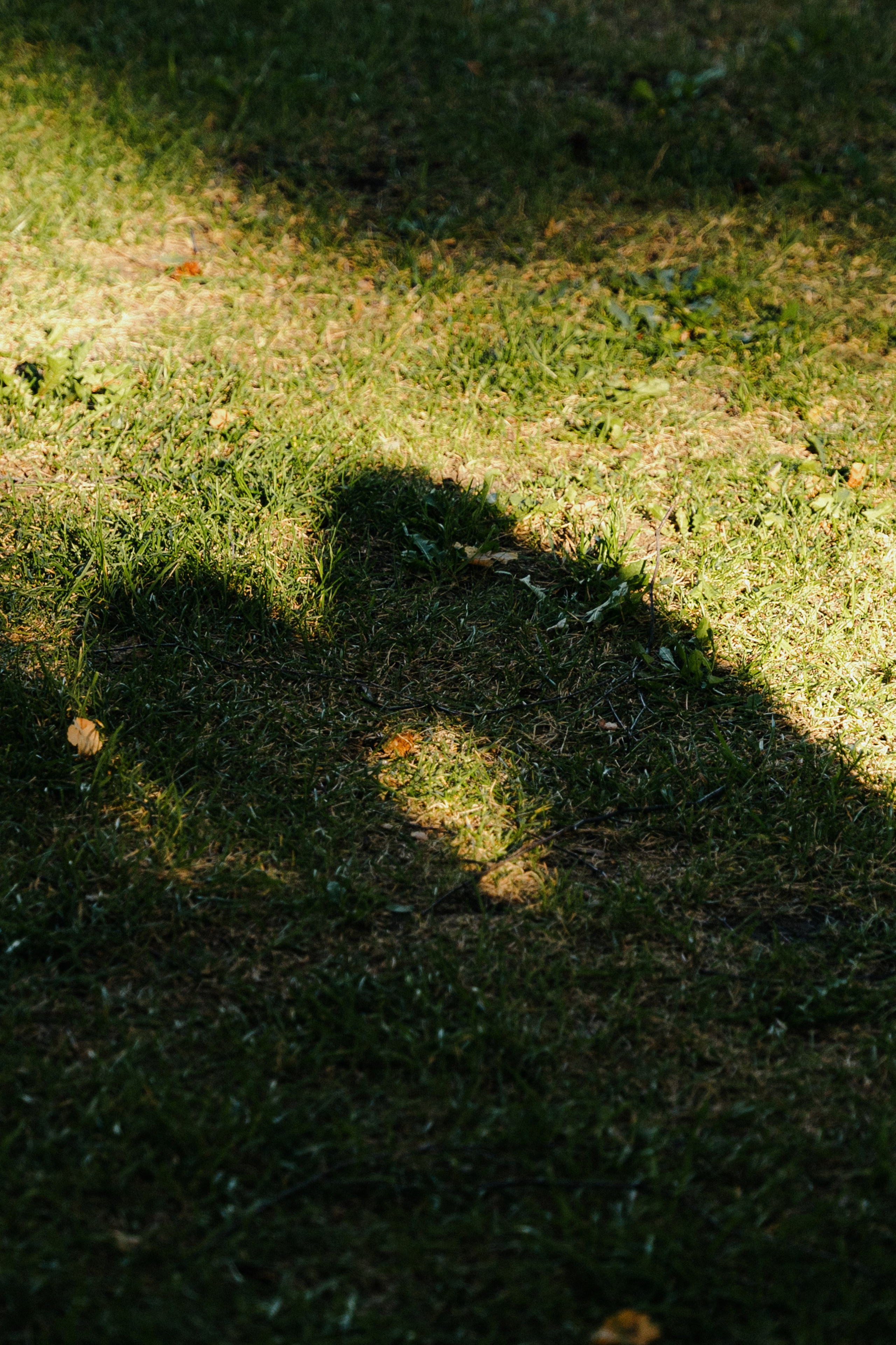 A & E. Свадебный и портретный фотограф в Тюмени Женя Черемнова