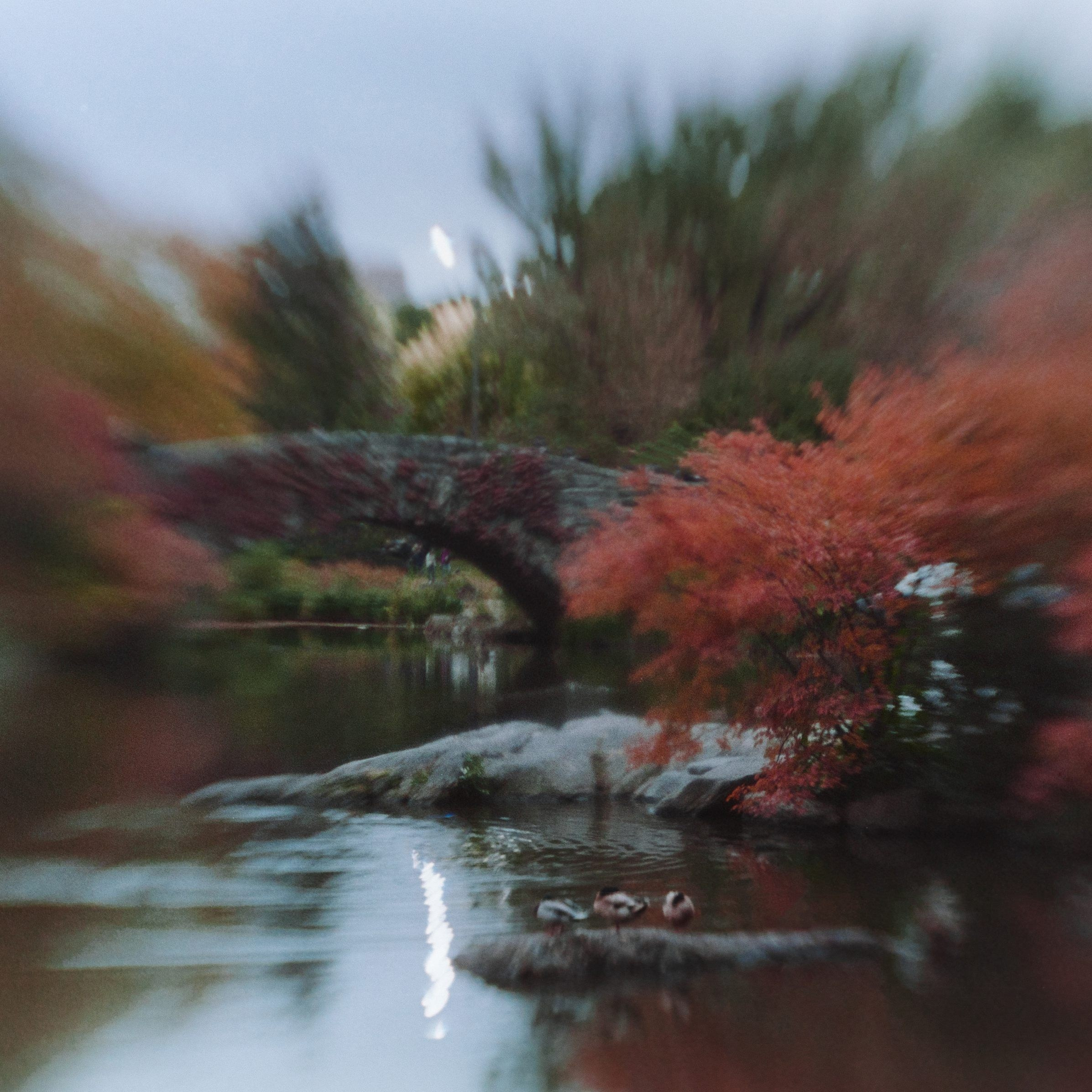 NYC. Eduard Kopysov — International visual artist