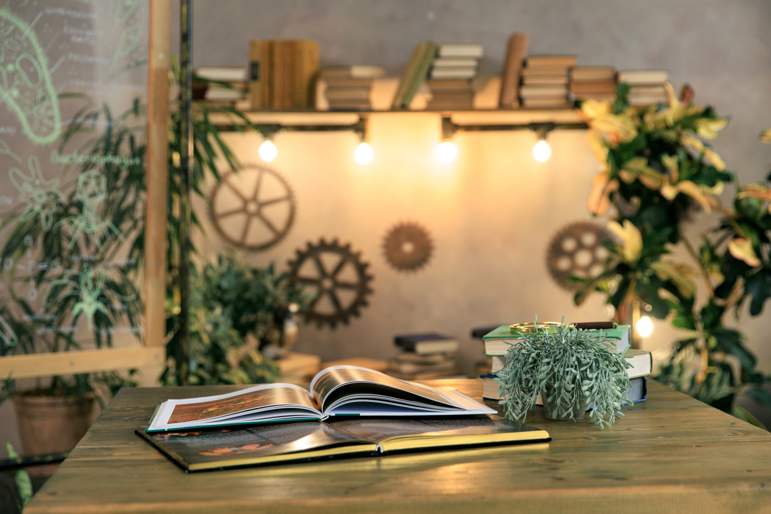 Фотостудия Экла. Выпускные альбомы Евгении Виноградовой г. Липецк