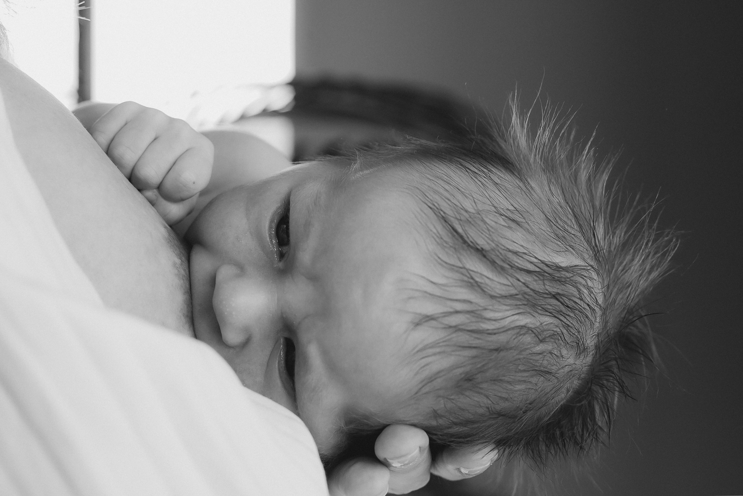 Мама Папа Лев. Фотограф в Волгограде — Александра Искандерова