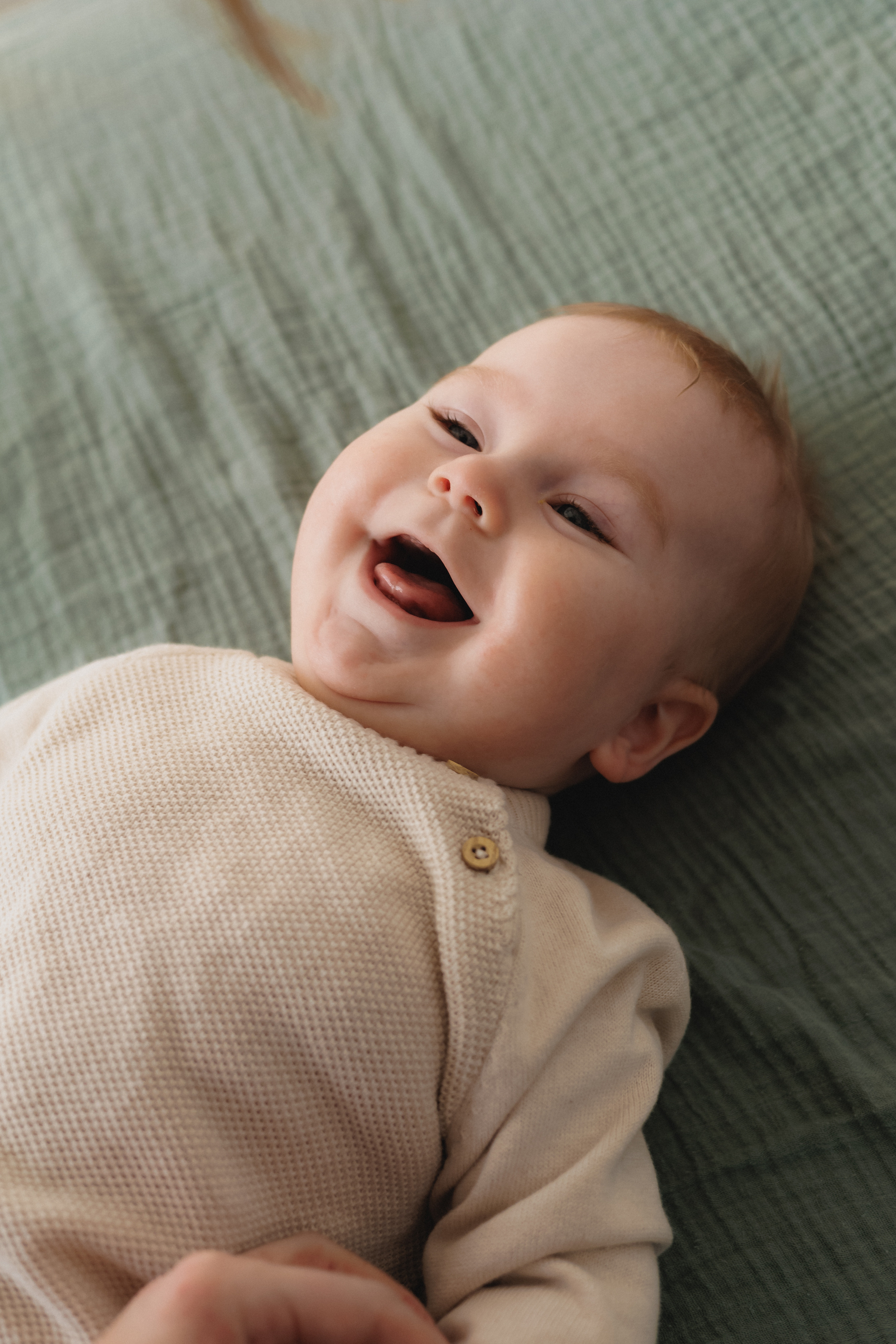 Лев Мама Папа. Фотограф в Волгограде — Александра Искандерова