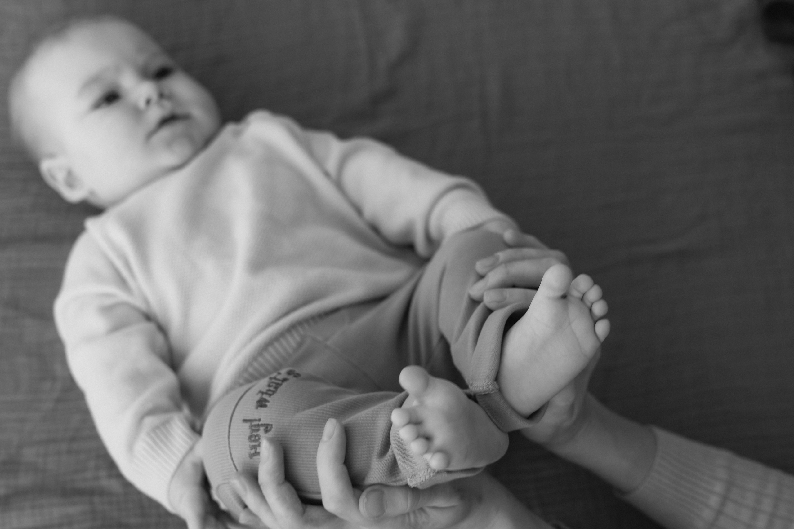 Лев Мама Папа. Фотограф в Волгограде — Александра Искандерова