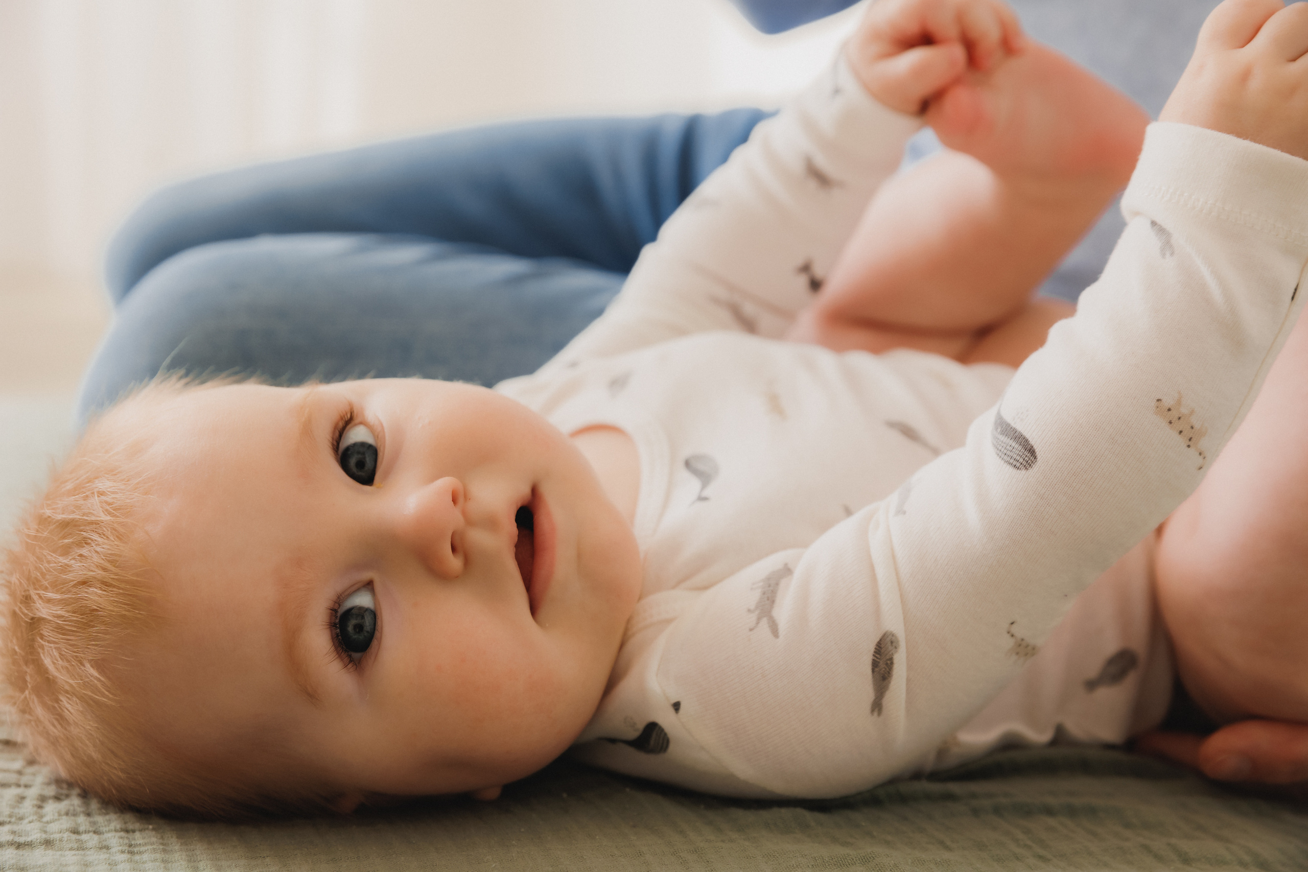 Лев Мама Папа. Фотограф в Волгограде — Александра Искандерова