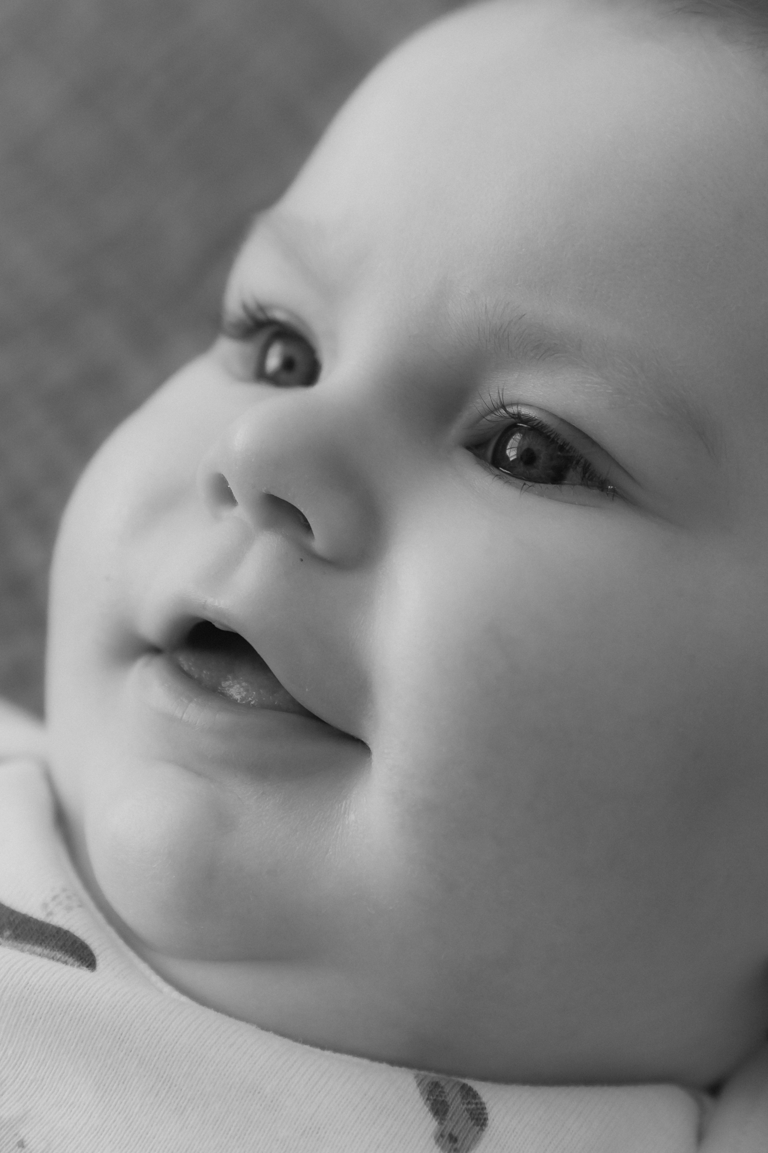 Лев Мама Папа. Фотограф в Волгограде — Александра Искандерова