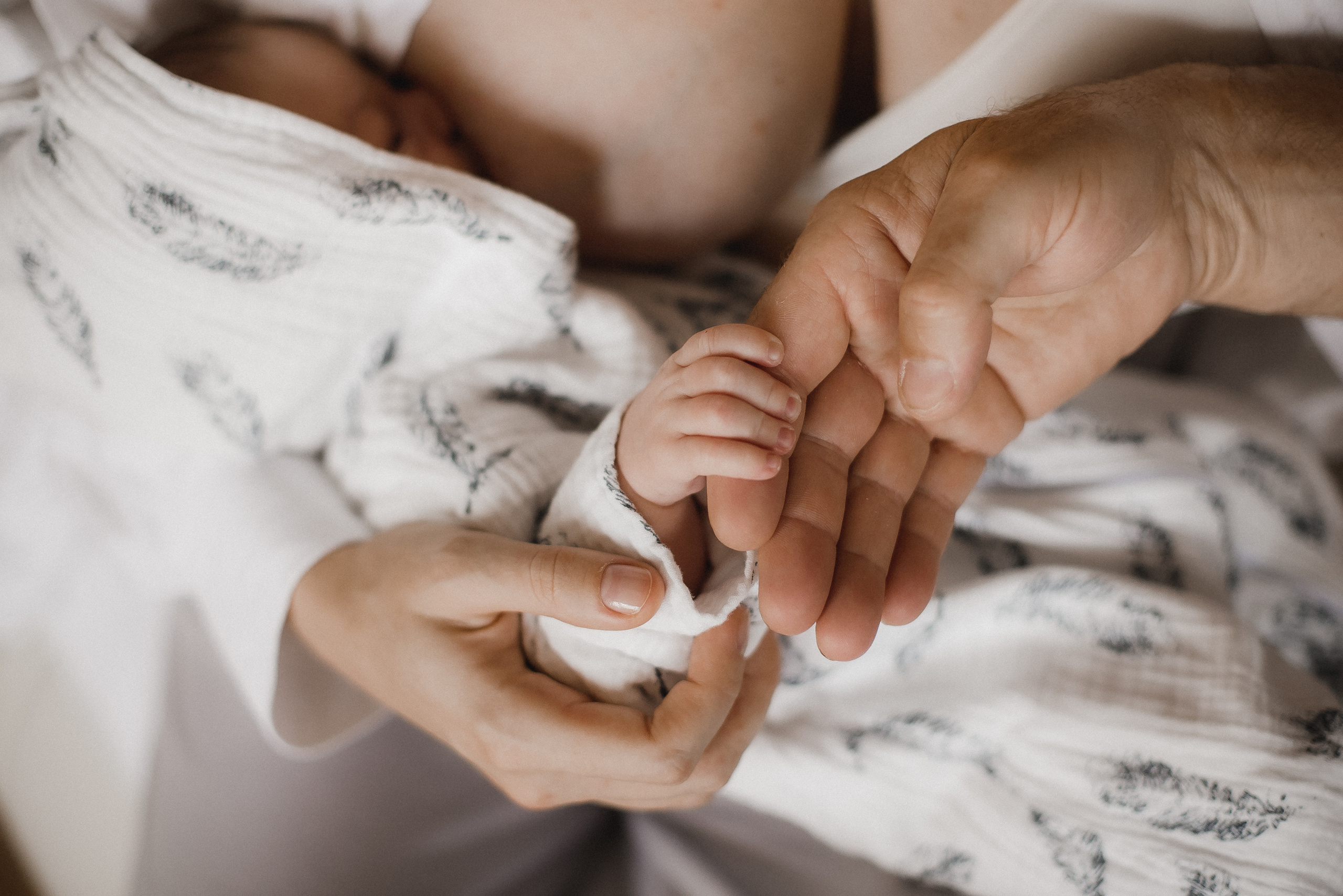 Мама Папа Лев. Фотограф в Волгограде — Александра Искандерова