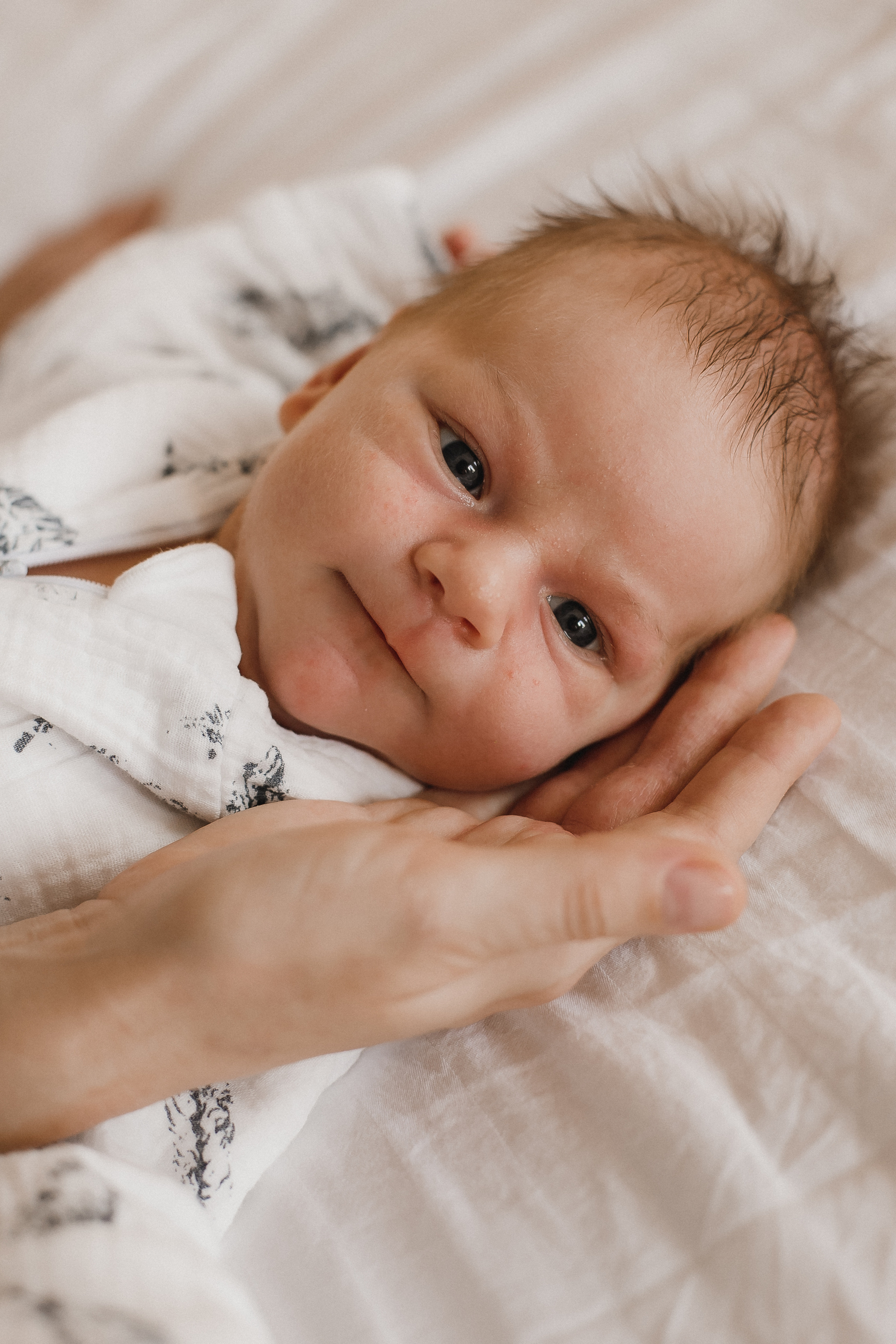 Мама Папа Лев. Фотограф в Волгограде — Александра Искандерова