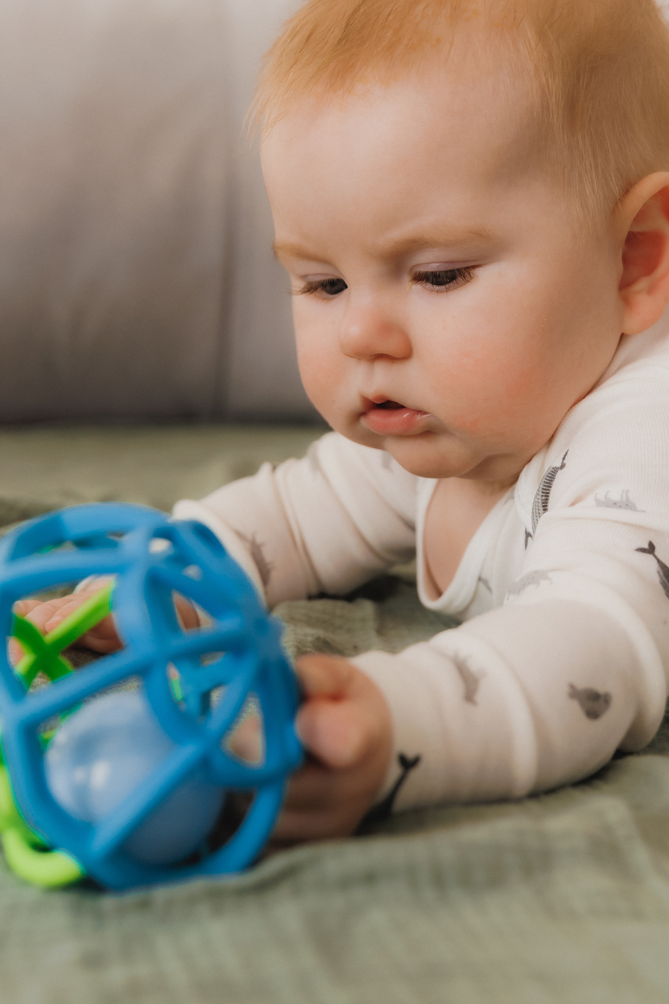 Лев Мама Папа. Фотограф в Волгограде — Александра Искандерова