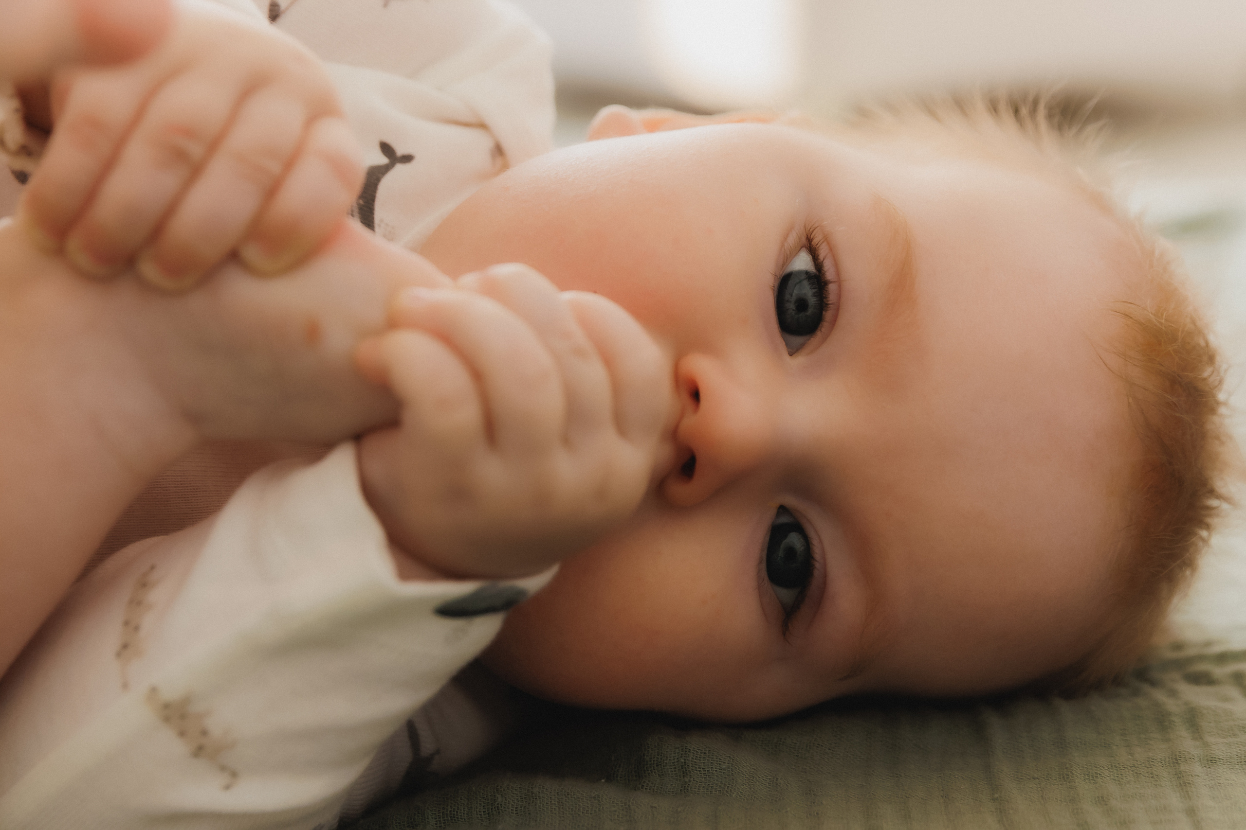 Лев Мама Папа. Фотограф в Волгограде — Александра Искандерова