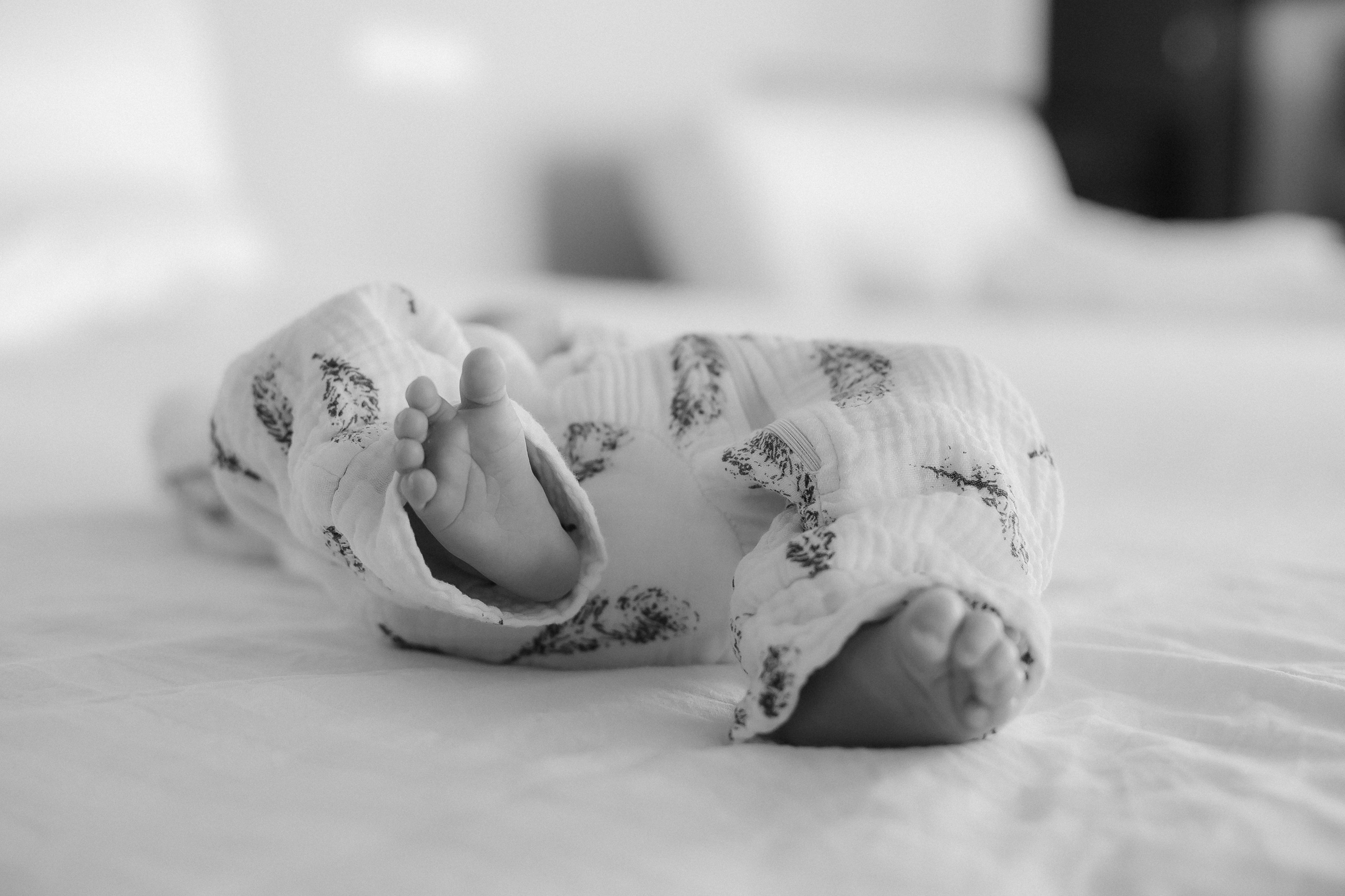 Мама Папа Лев. Фотограф в Волгограде — Александра Искандерова