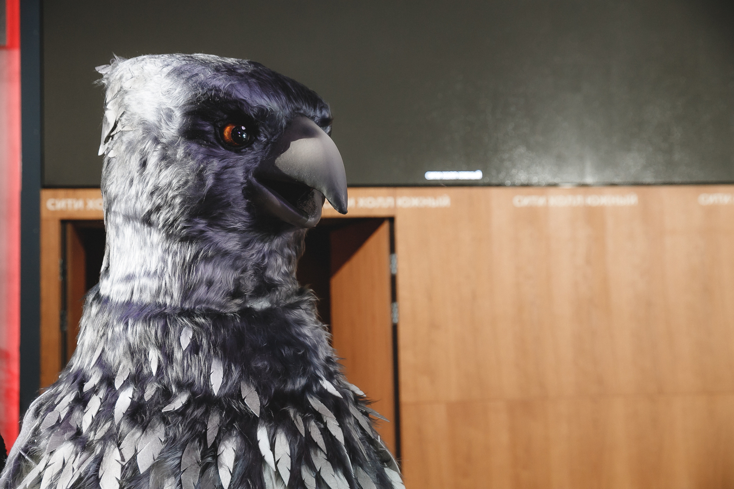 Злата и Вера. Фотограф в Волгограде — Александра Искандерова