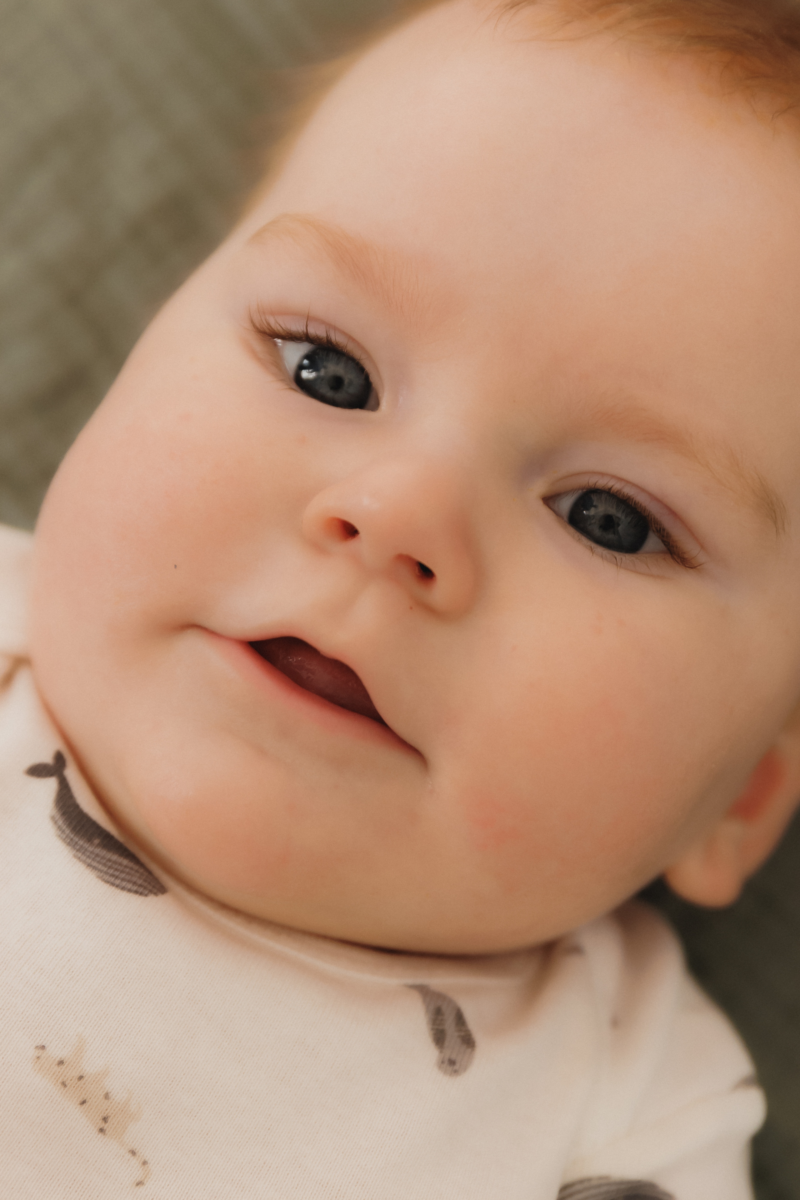 Лев Мама Папа. Фотограф в Волгограде — Александра Искандерова