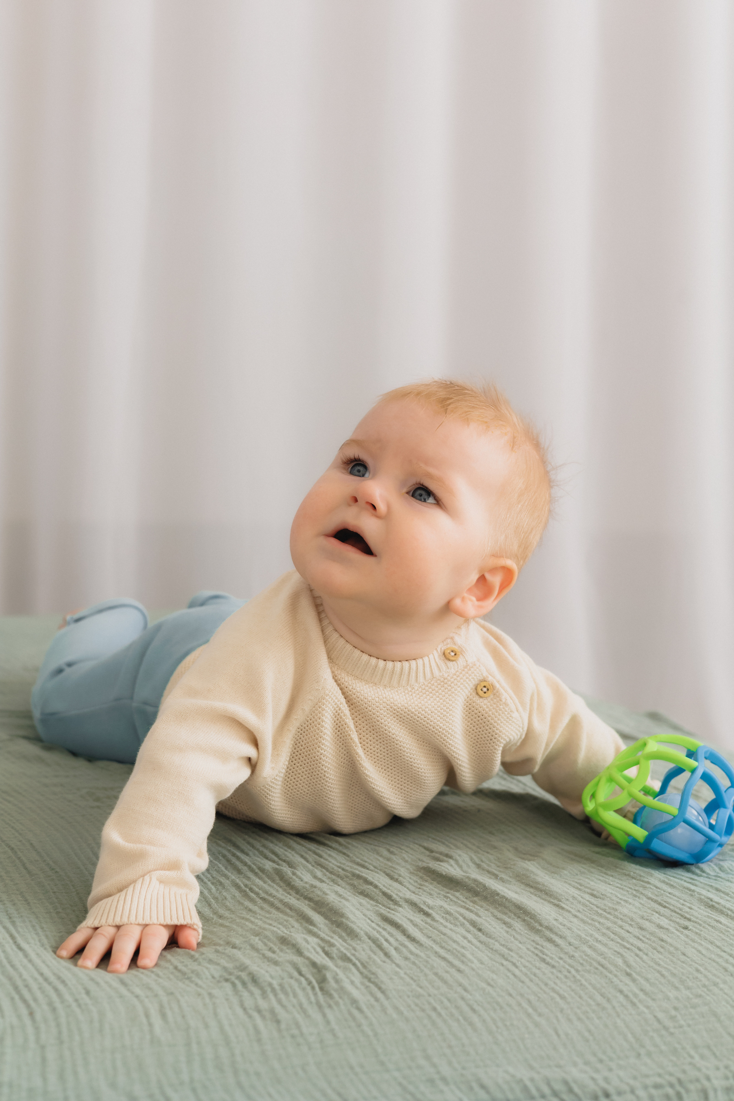 Лев Мама Папа. Фотограф в Волгограде — Александра Искандерова