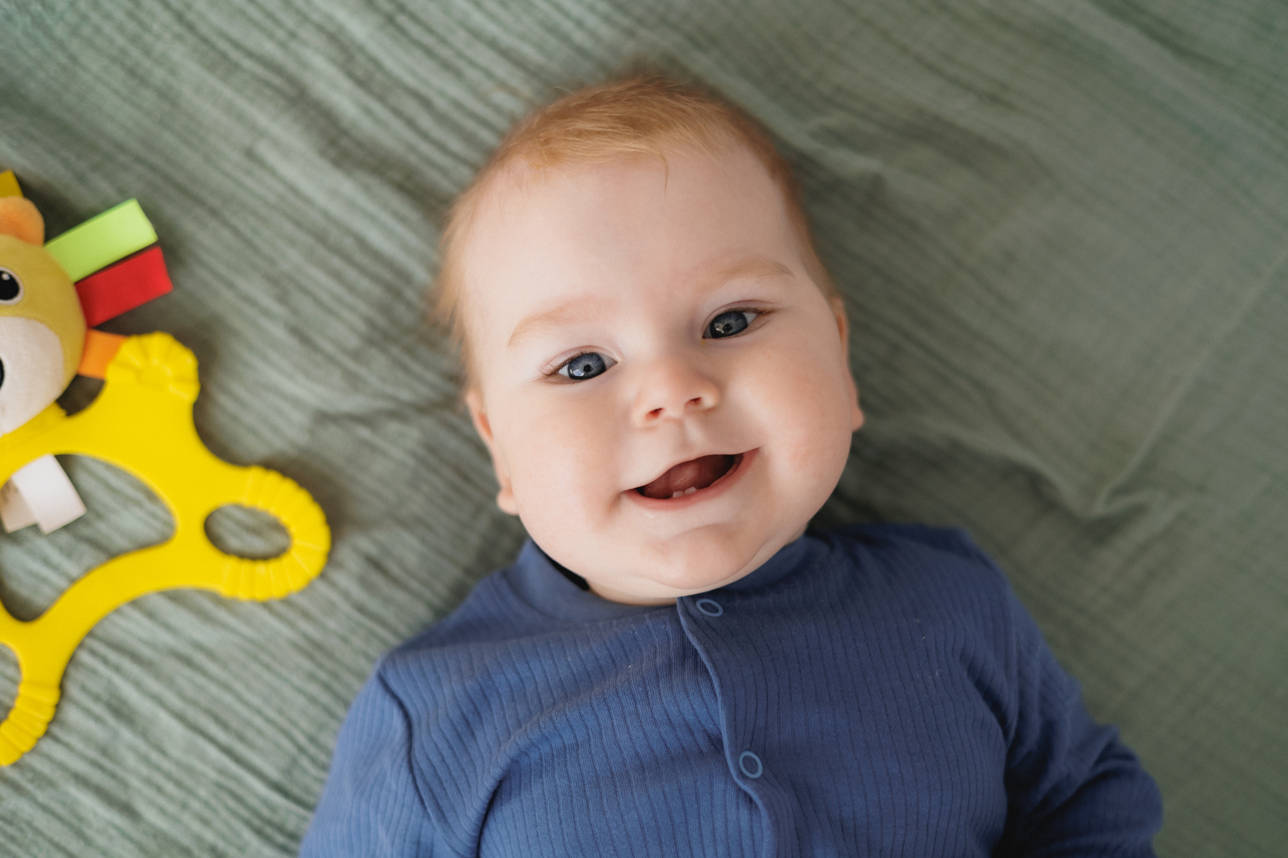 Лев Мама Папа. Фотограф в Волгограде — Александра Искандерова