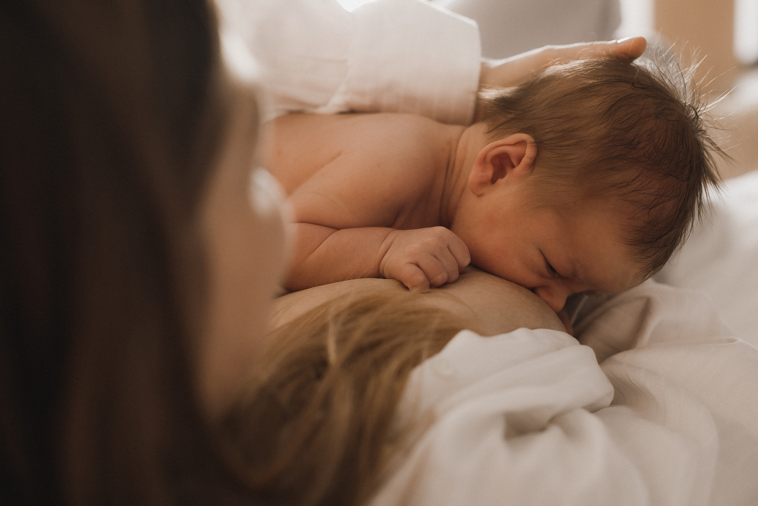 Мама Папа Лев. Фотограф в Волгограде — Александра Искандерова