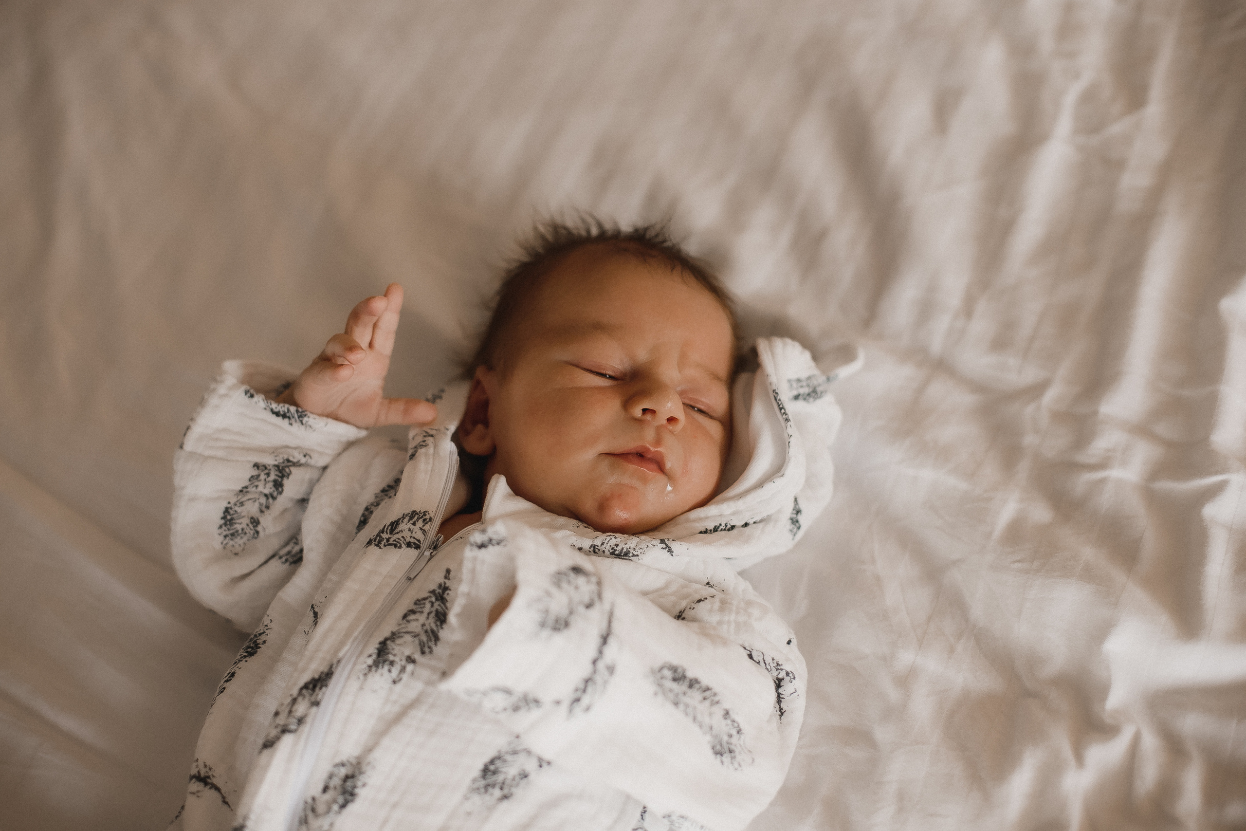 Мама Папа Лев. Фотограф в Волгограде — Александра Искандерова