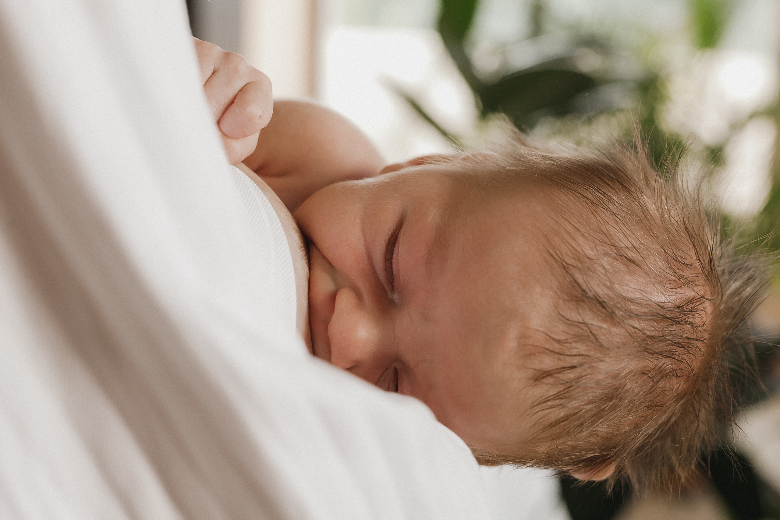 Мама Папа Лев. Фотограф в Волгограде — Александра Искандерова