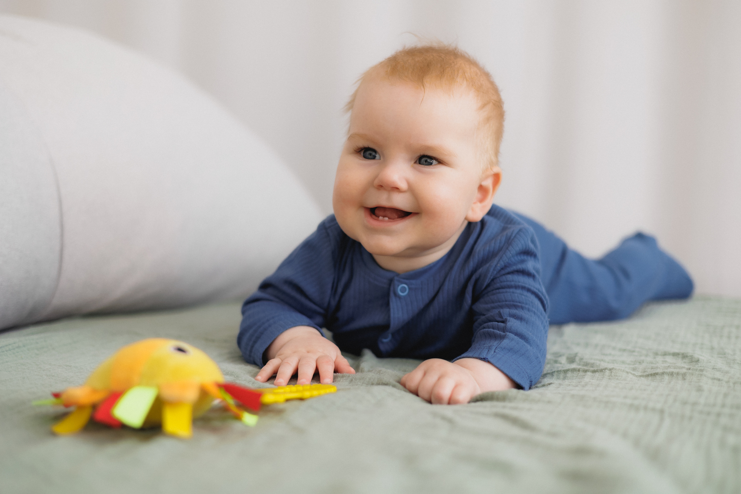 Лев Мама Папа. Фотограф в Волгограде — Александра Искандерова